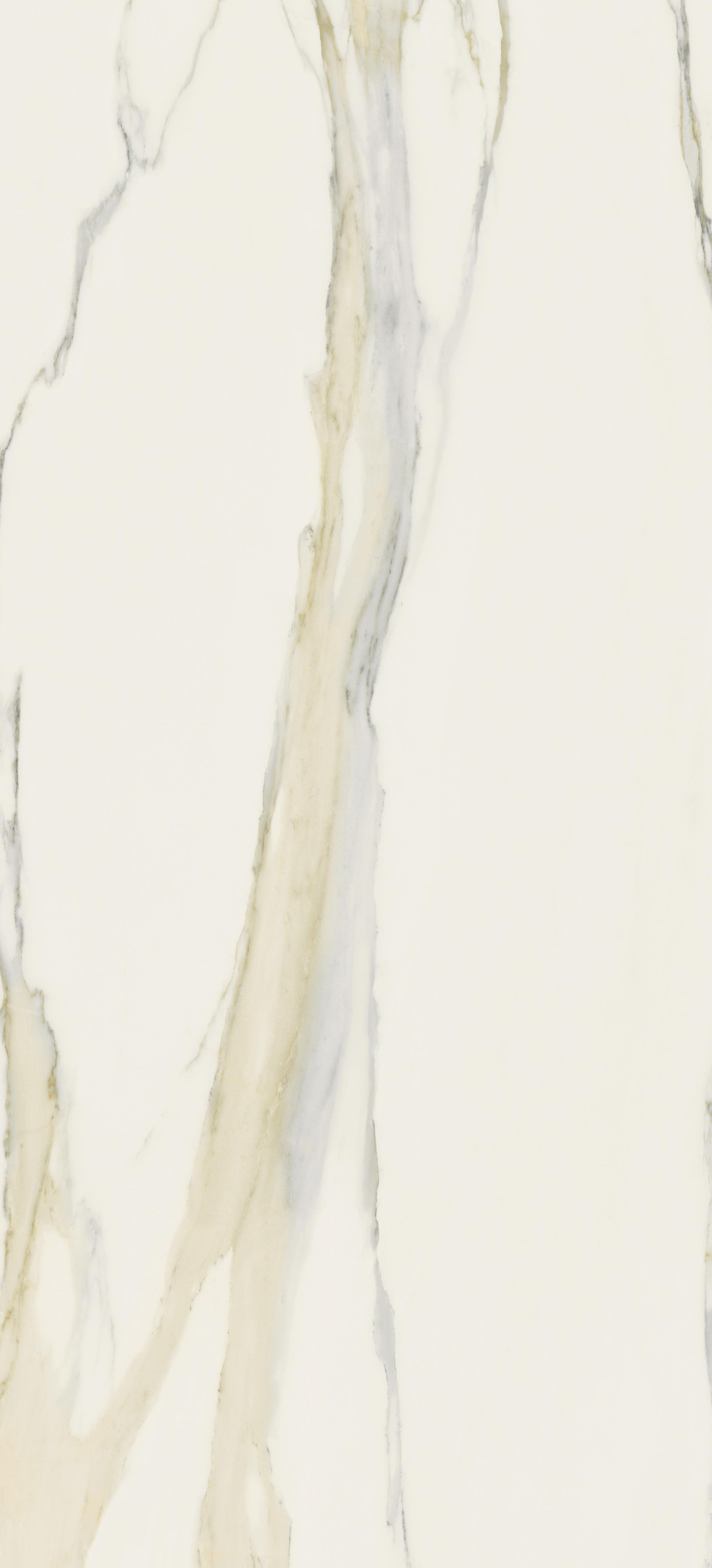 Calacatta Gold 120x280