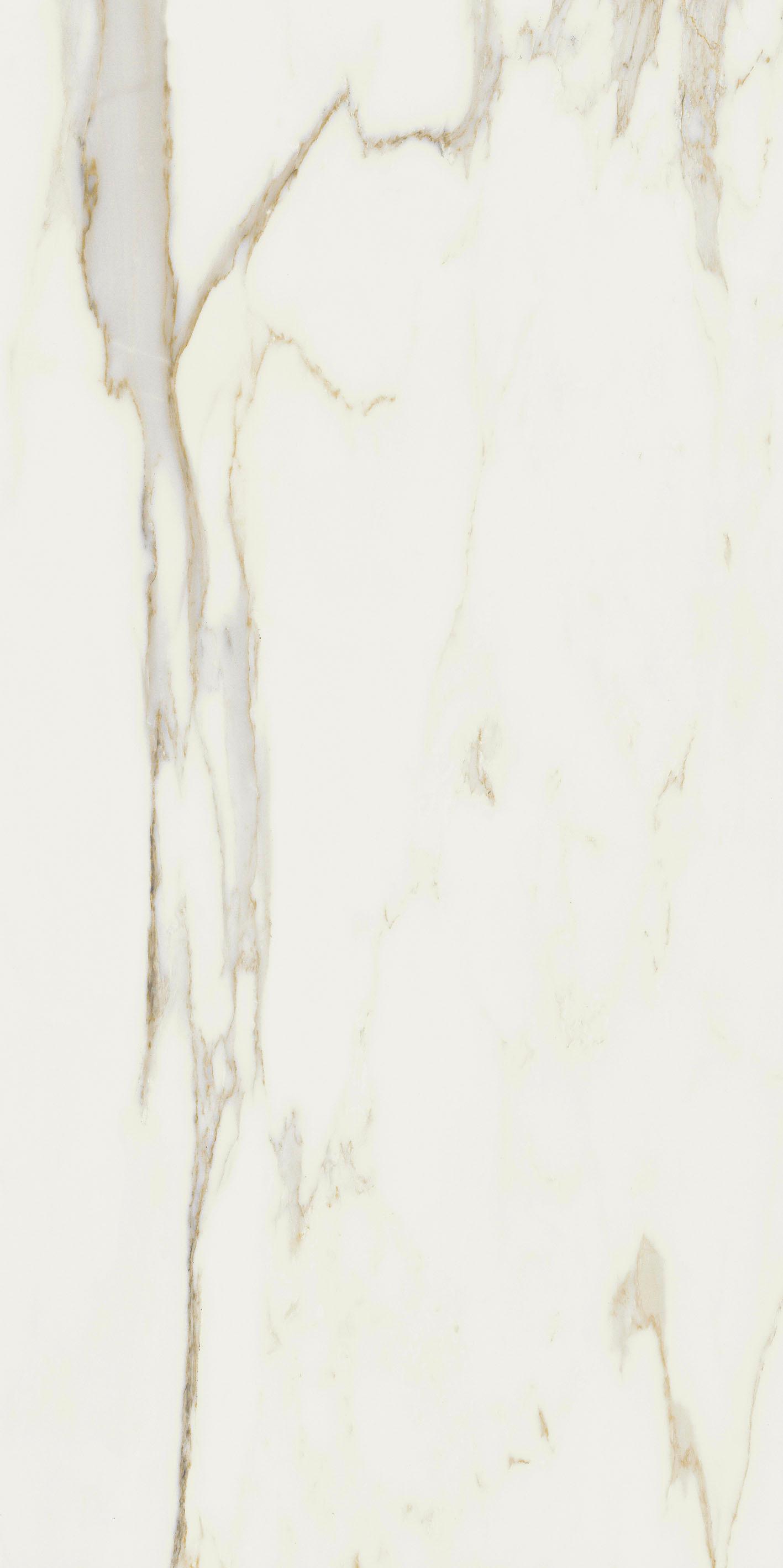 Calacatta Gold 60x120