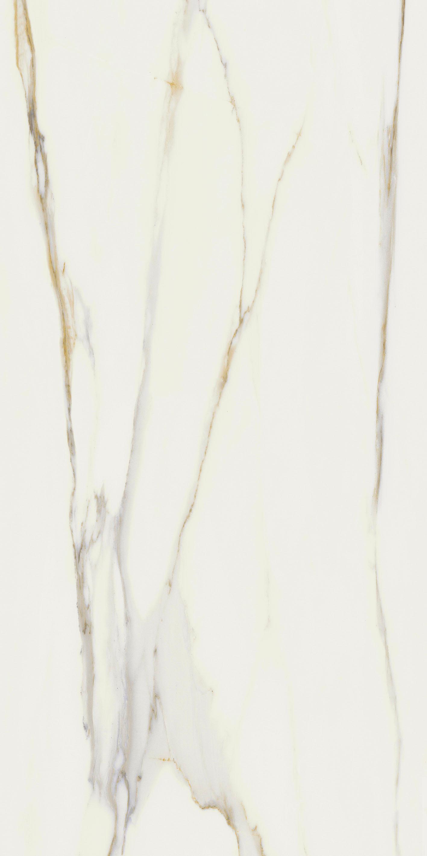 Calacatta Gold 60x120