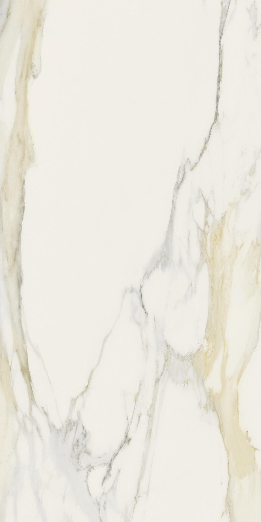 Calacatta Gold 60x120