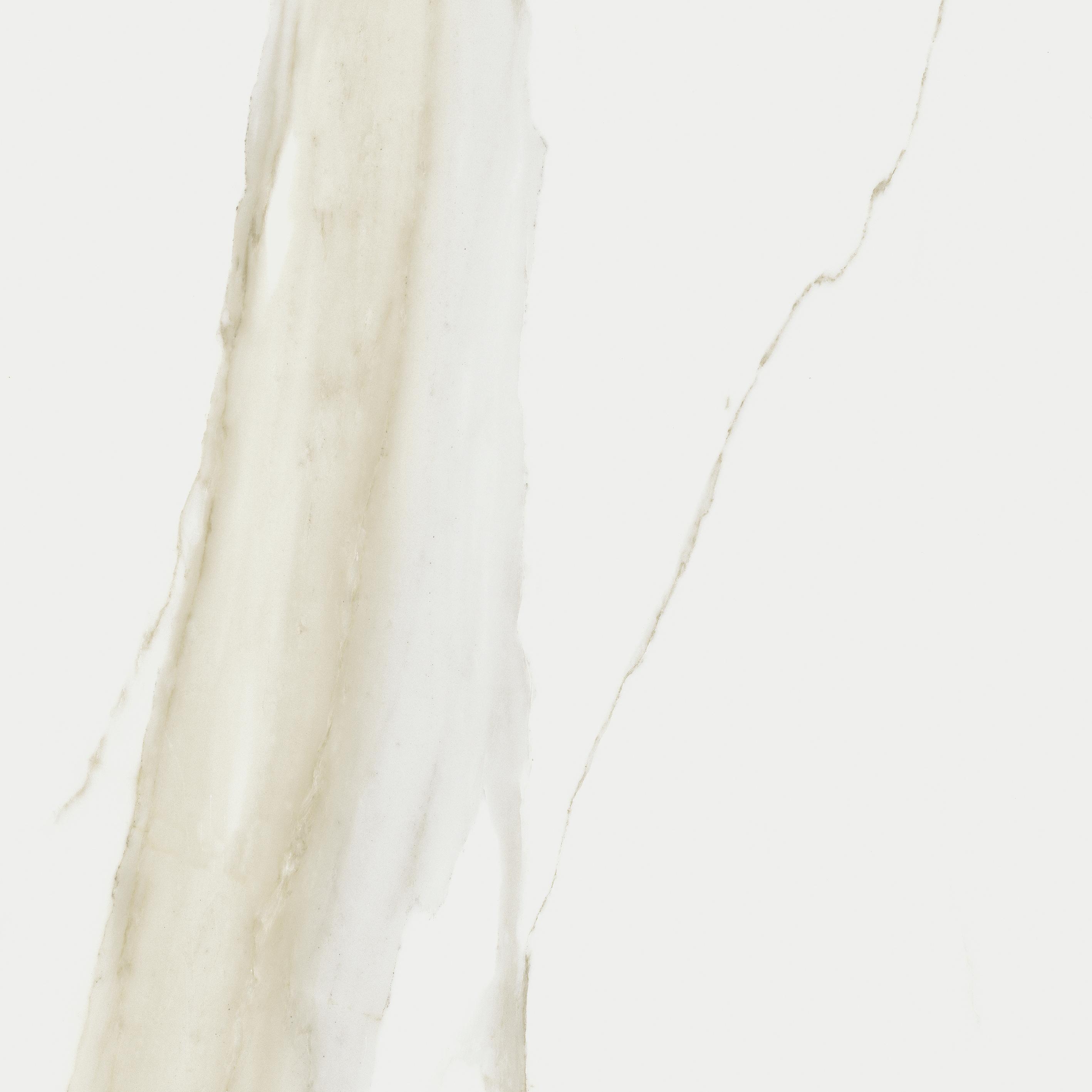 Calacatta Gold 60x60