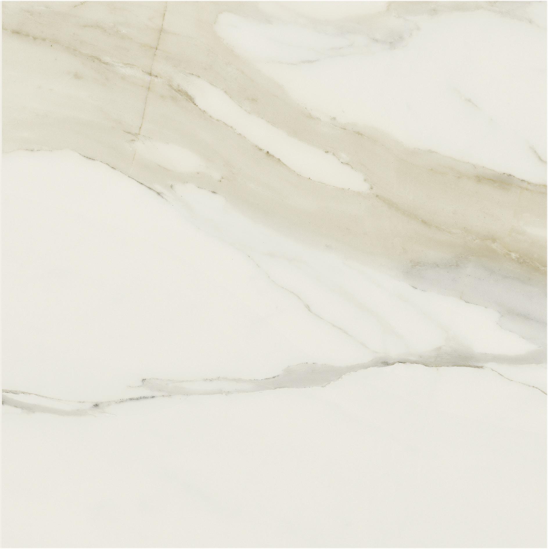 Calacatta Gold 80x80