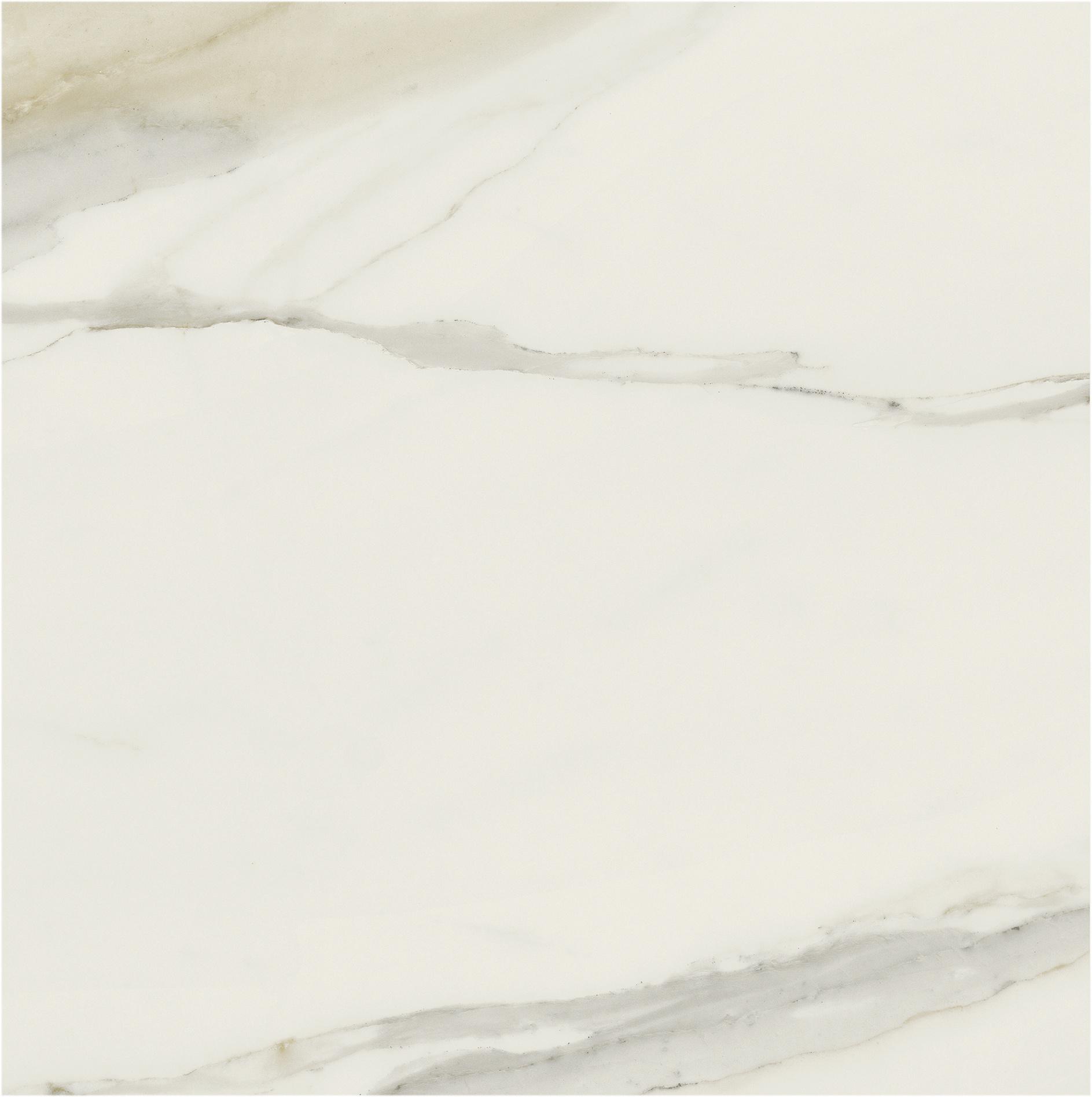 Calacatta Gold 80x80