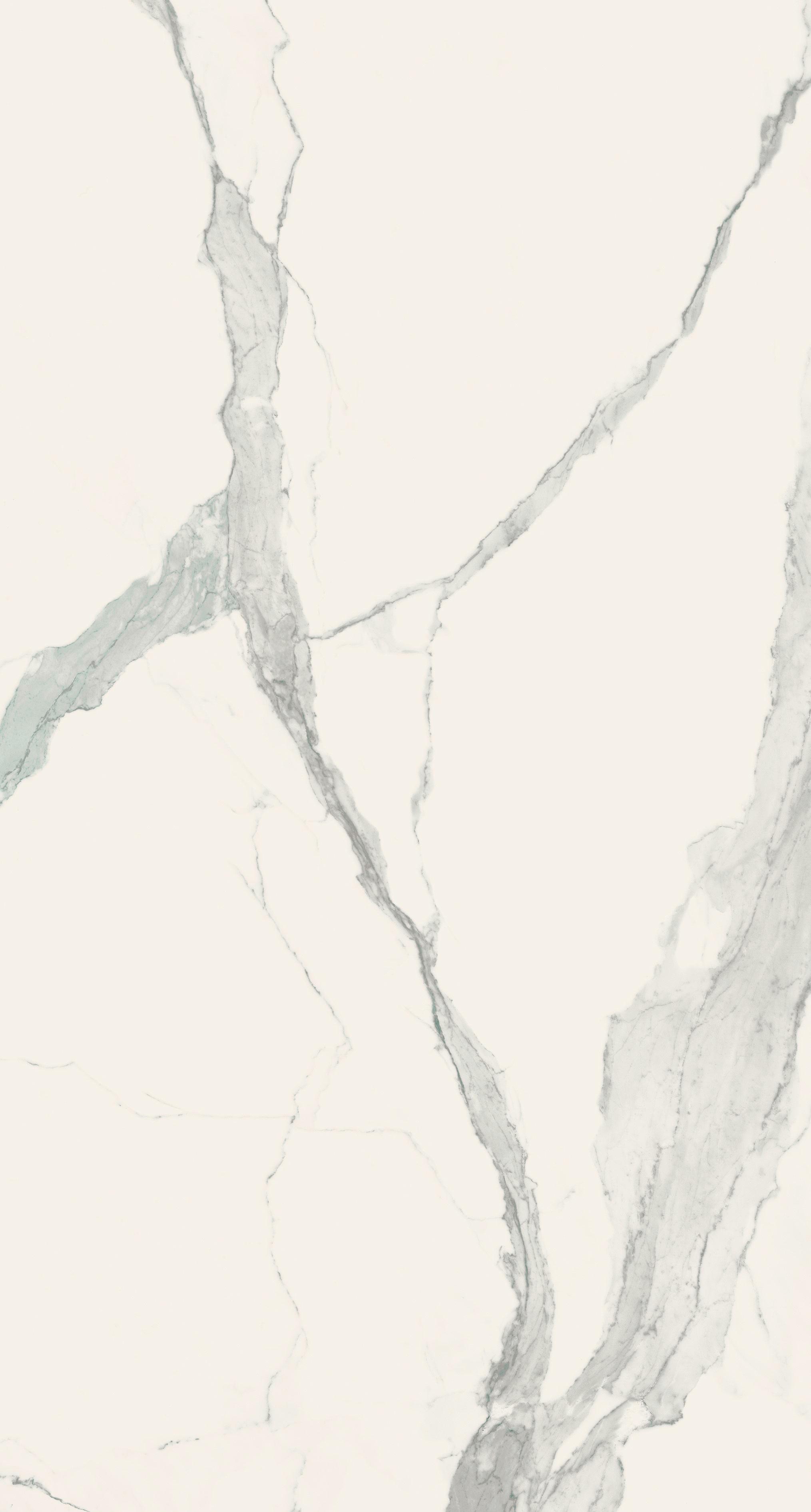 Statuario 120x240