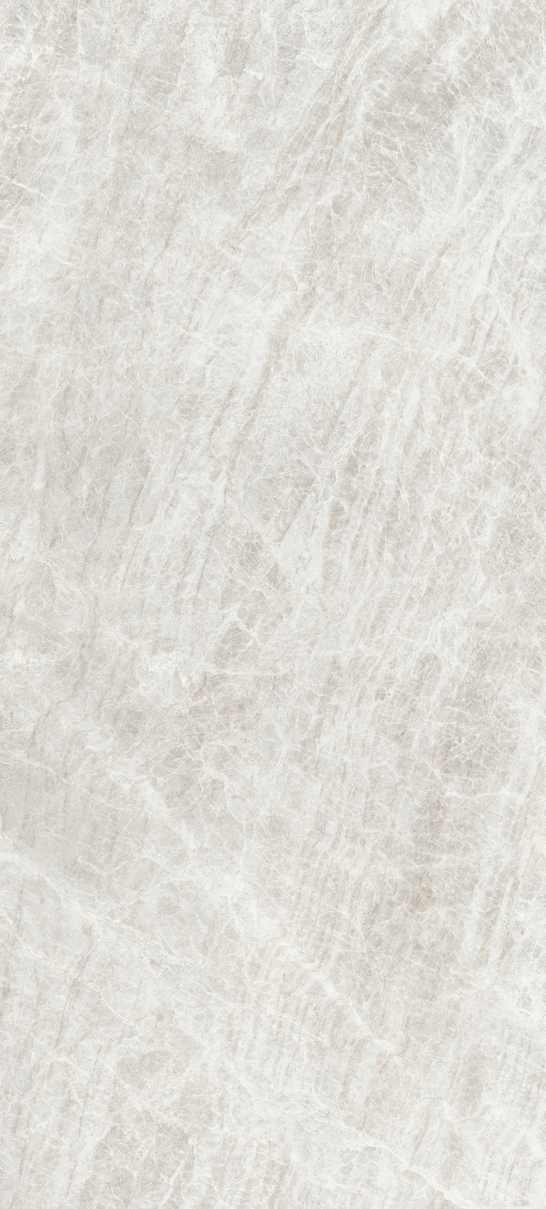 Rice Yamuna 120x280