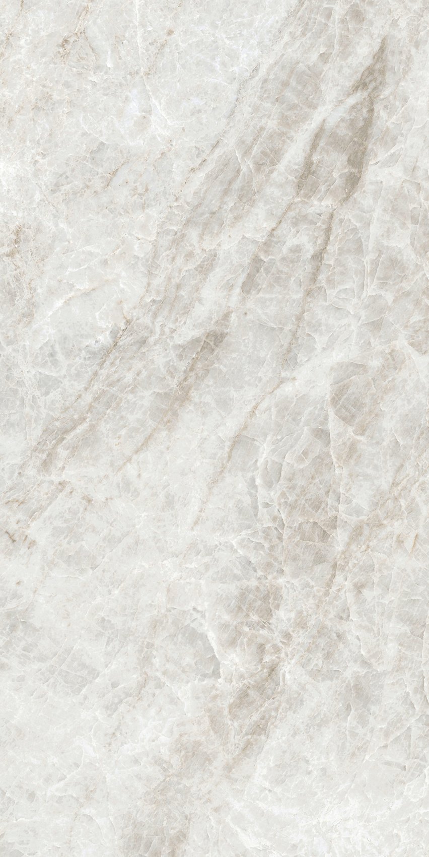 Rice Yamuna 30x60
