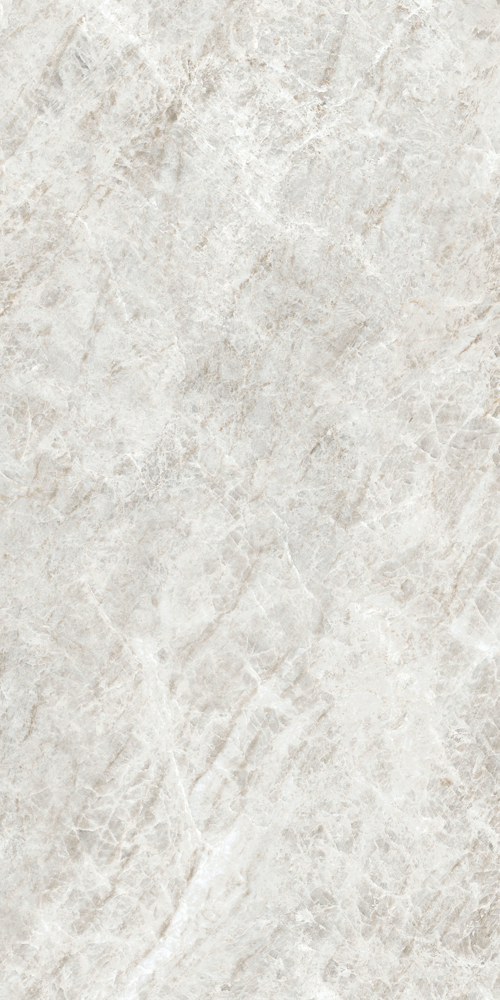 Rice Yamuna 60x120