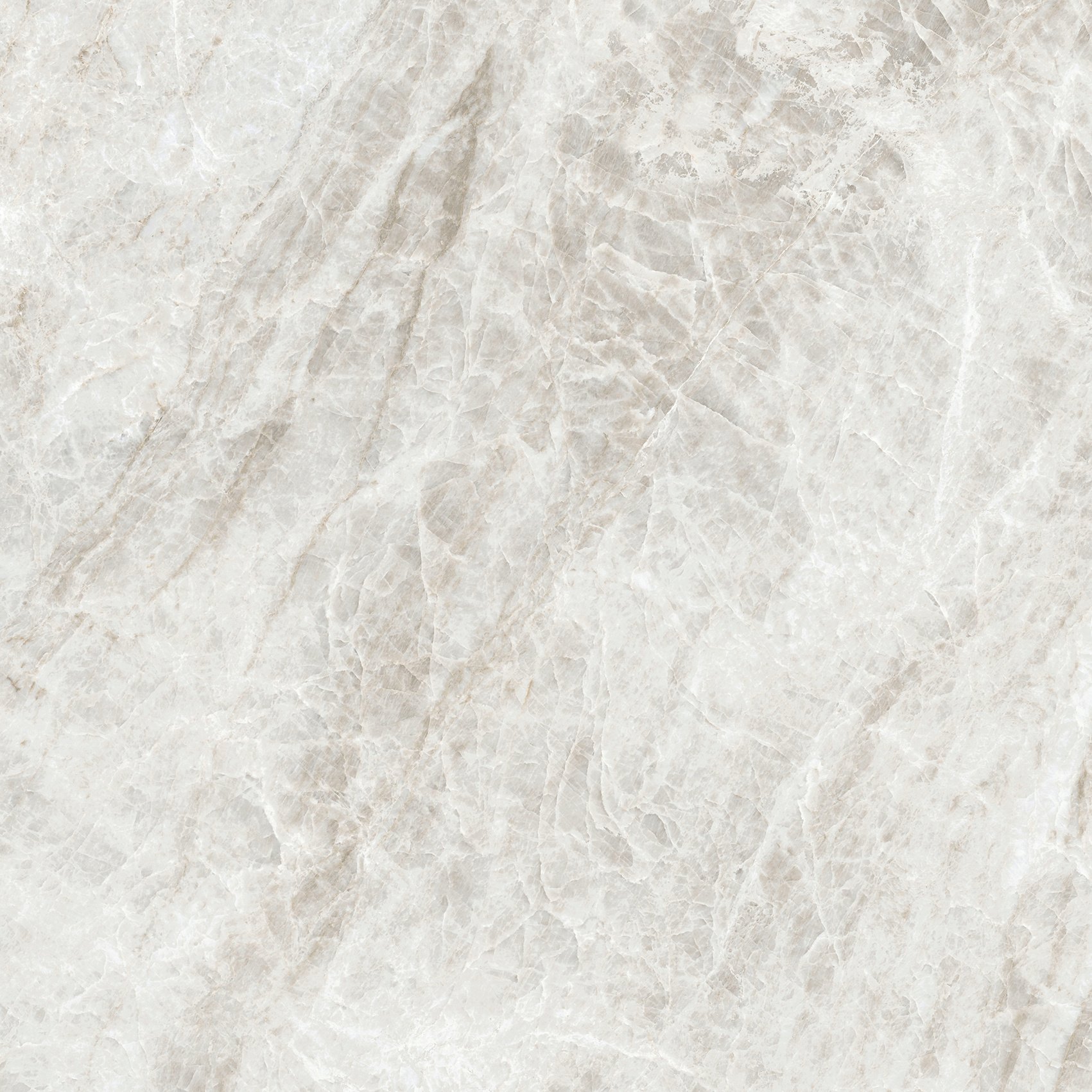 Rice Yamuna 60x60