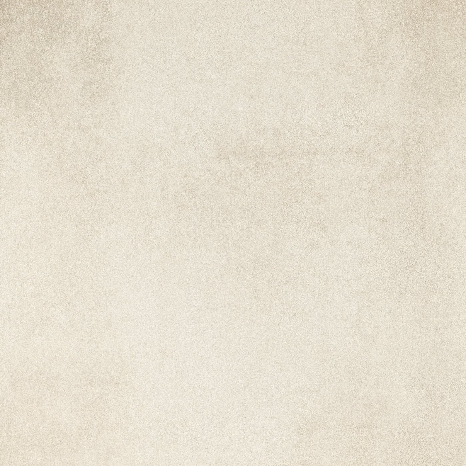 Ivory 80x80