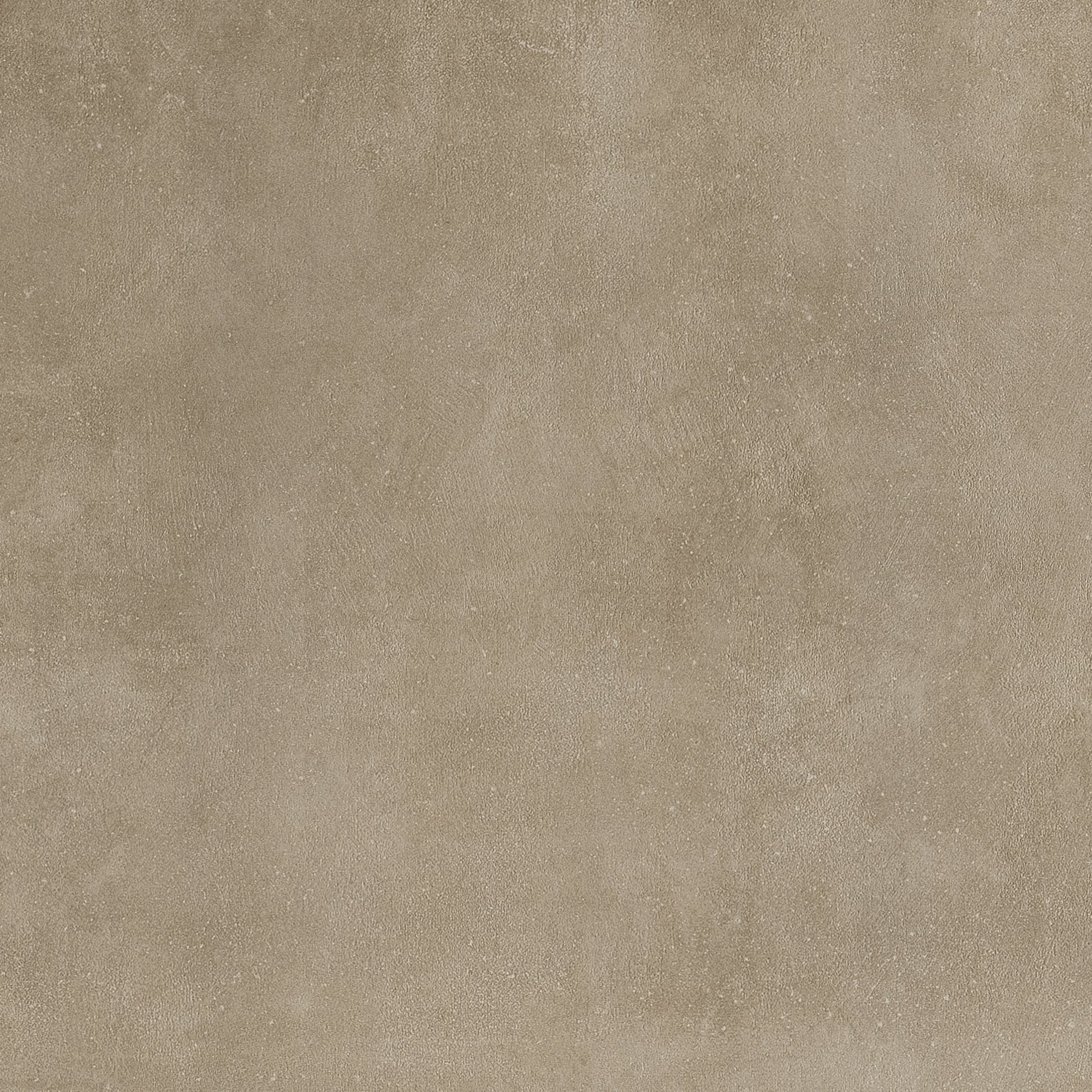Sage 80x80