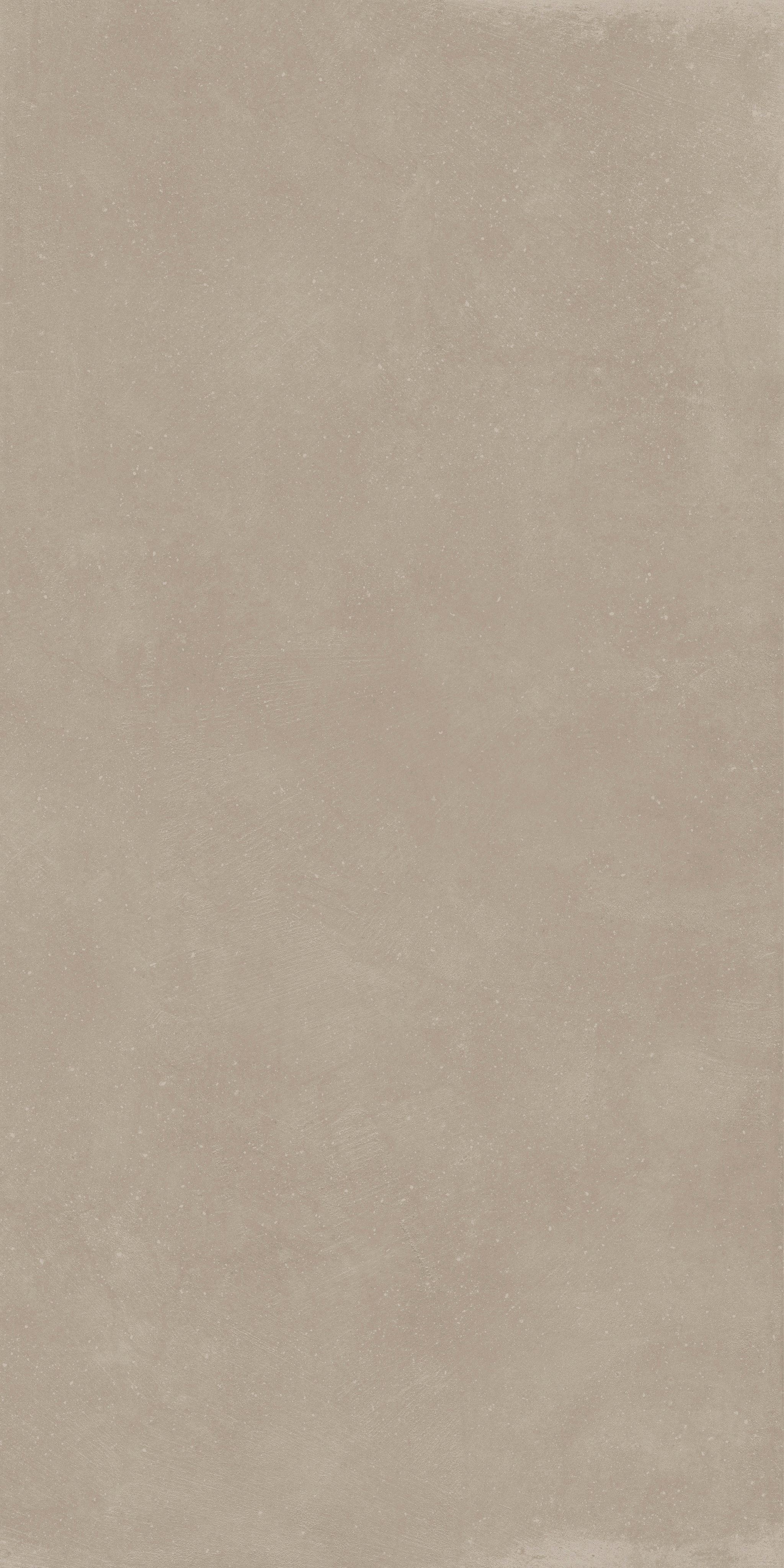 Taupe 60x120