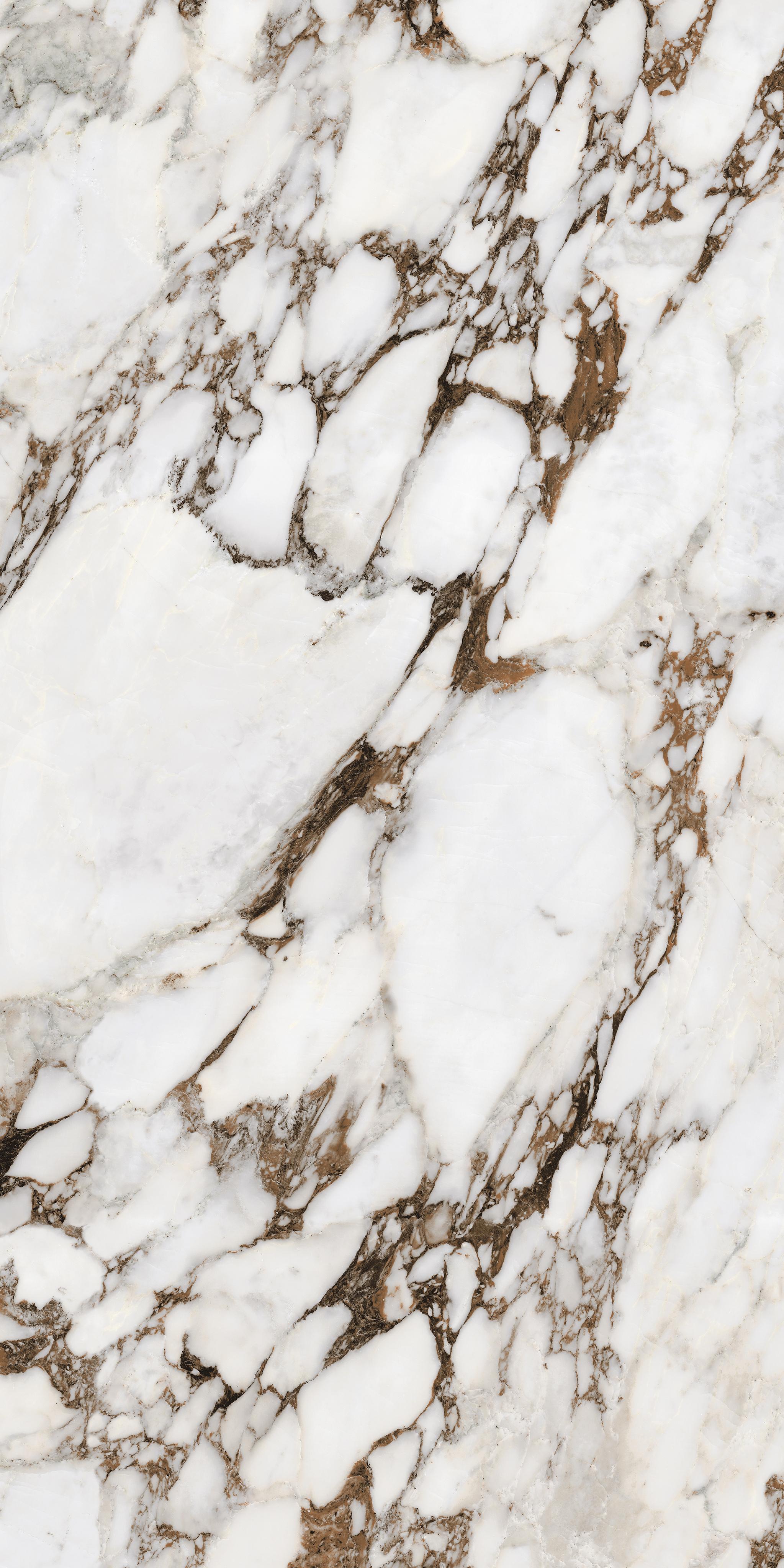 Brèche Capraia 60x120
