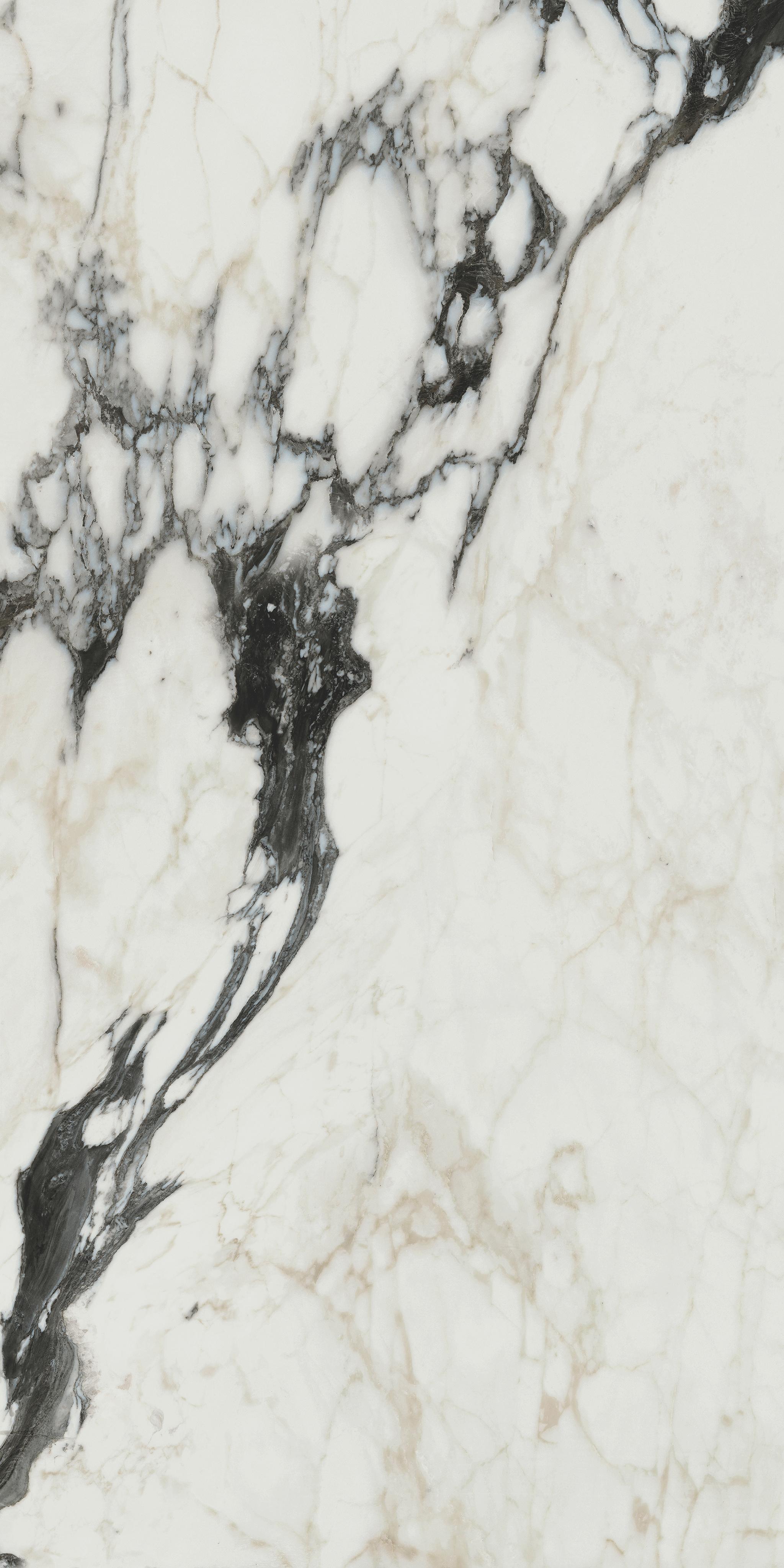 Calacatta Altissimo Blanc 60x120