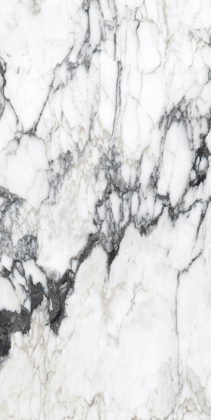 Calacatta Altissimo Blanc 60x120