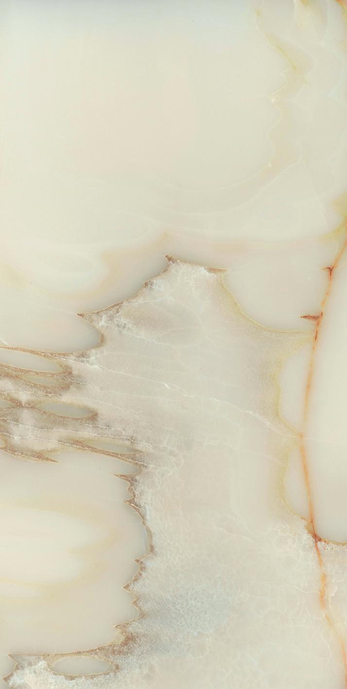 Onyx Blanche 60x120