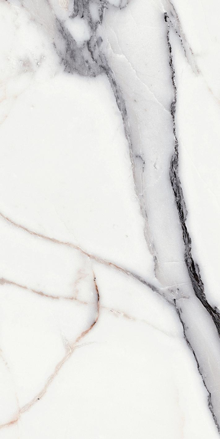 Origines Argent 60x120