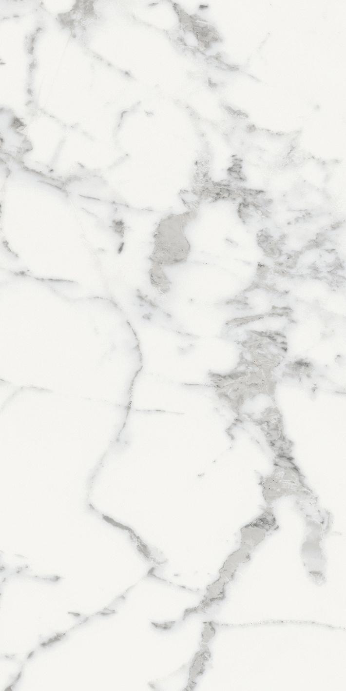 Origines Blanc 60x120
