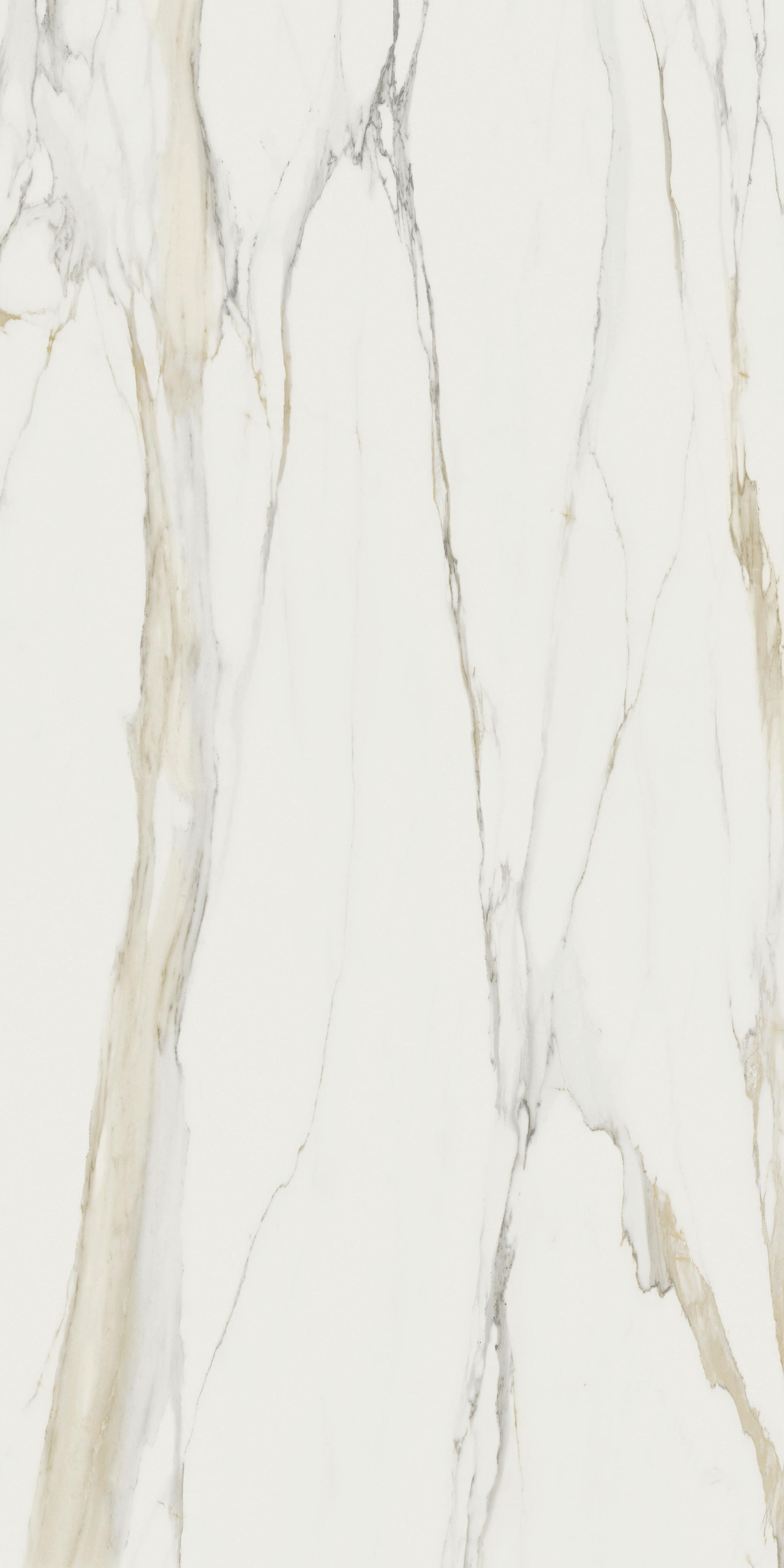 Marble Calacatta Gold A 160x320
