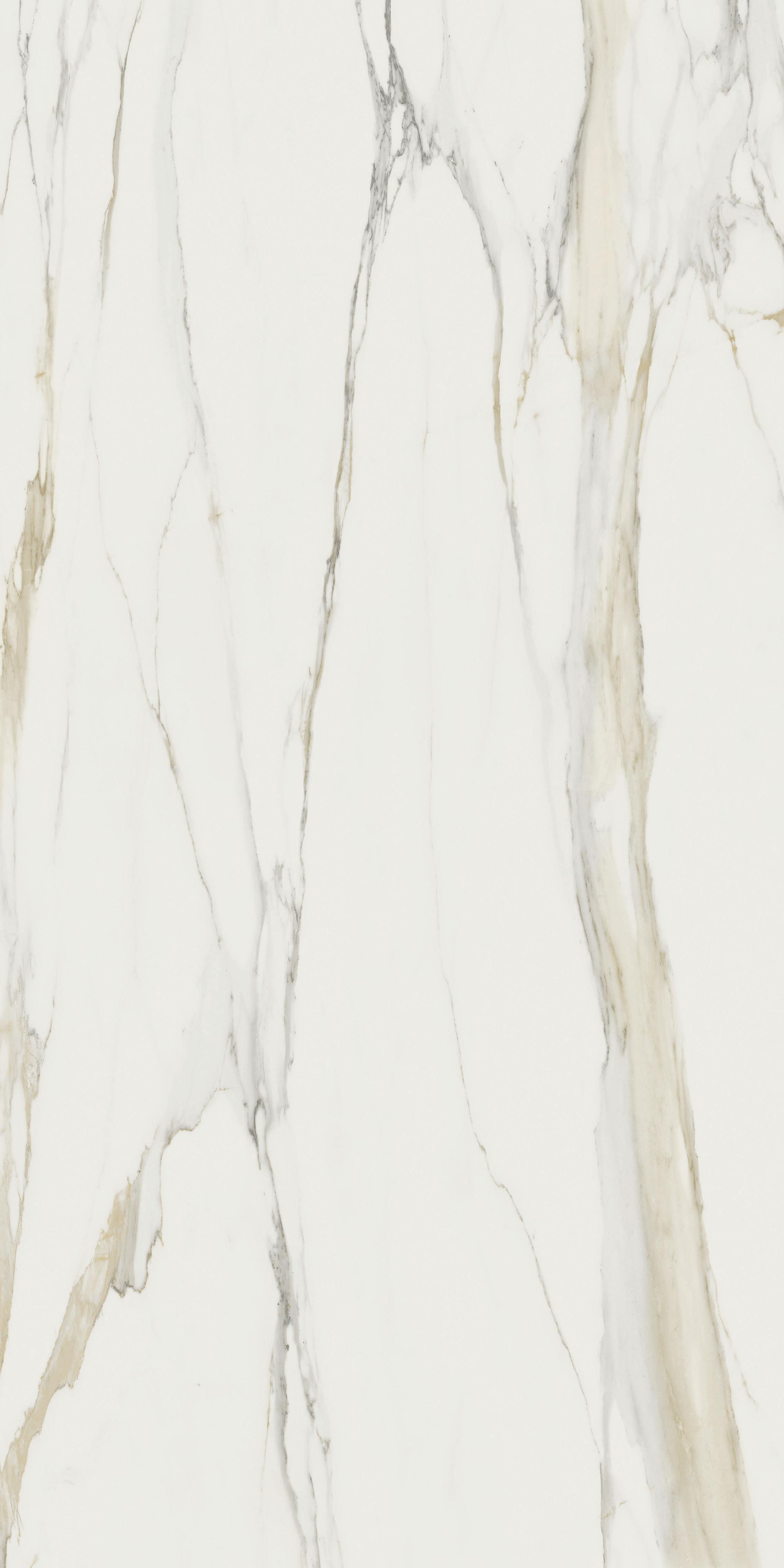 Marble Calacatta Gold B 160x320