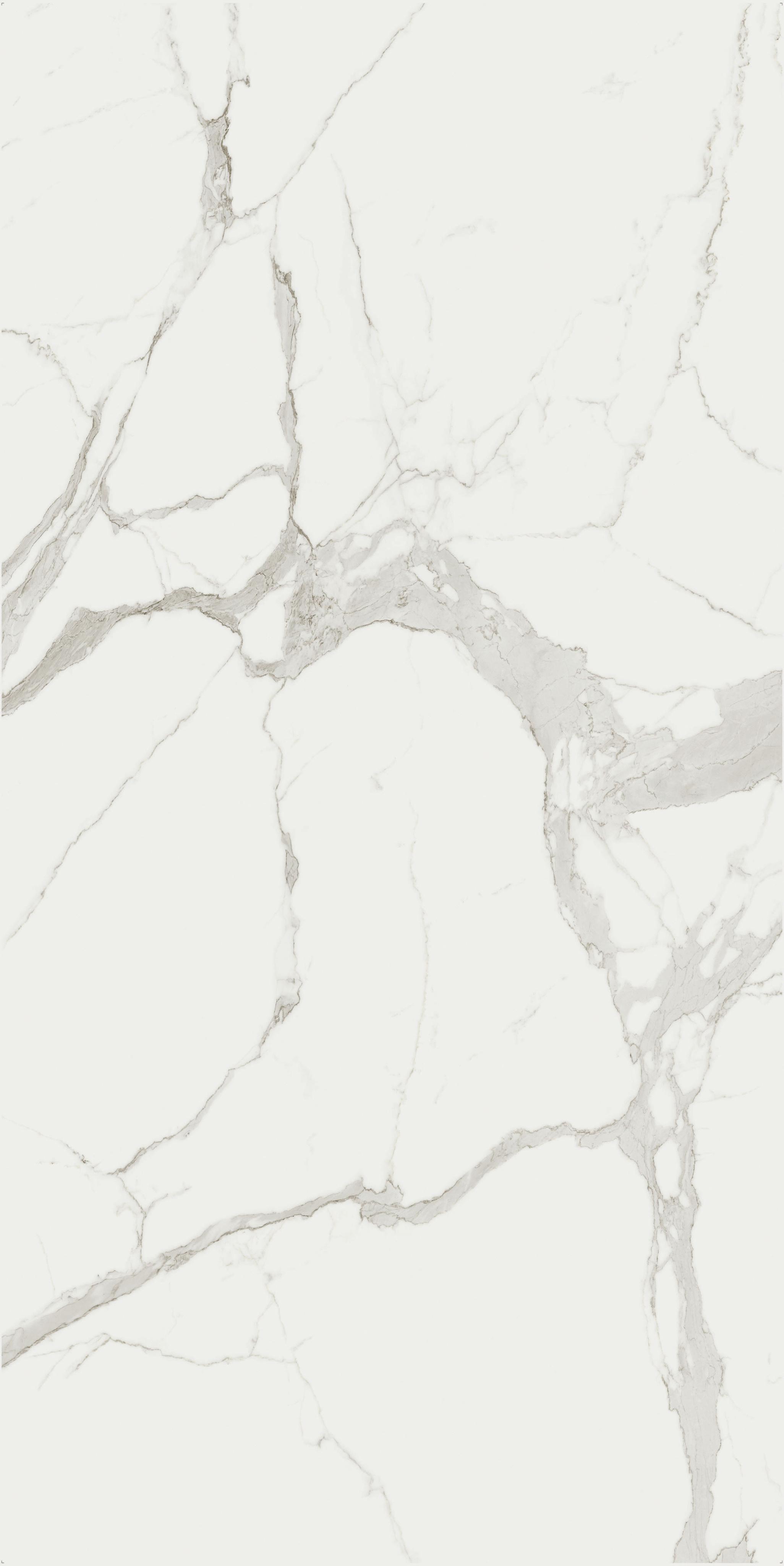 Marble Statuario A 160x320