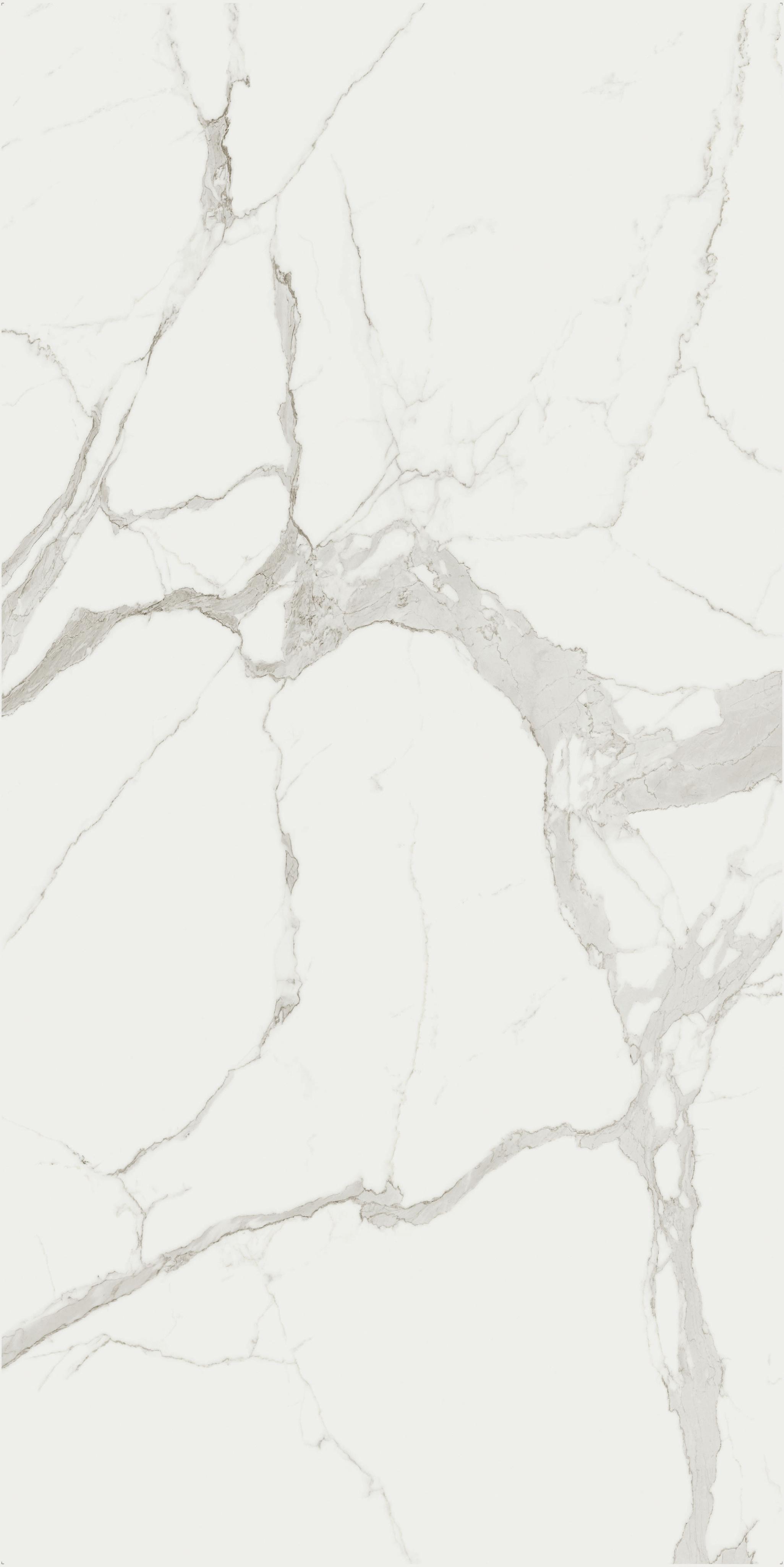 Marble Statuario A 160x320