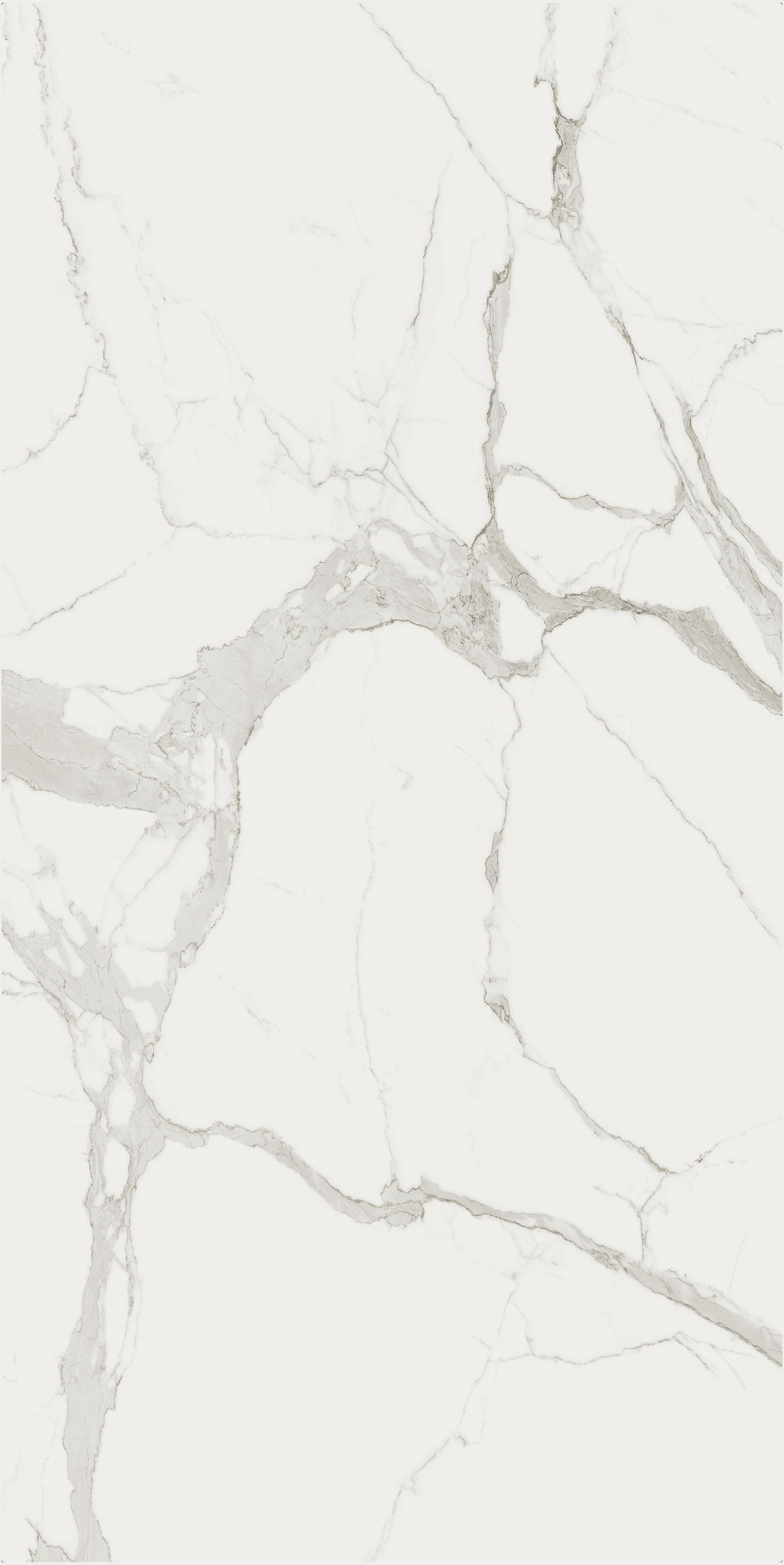 Marble Statuario B 160x320