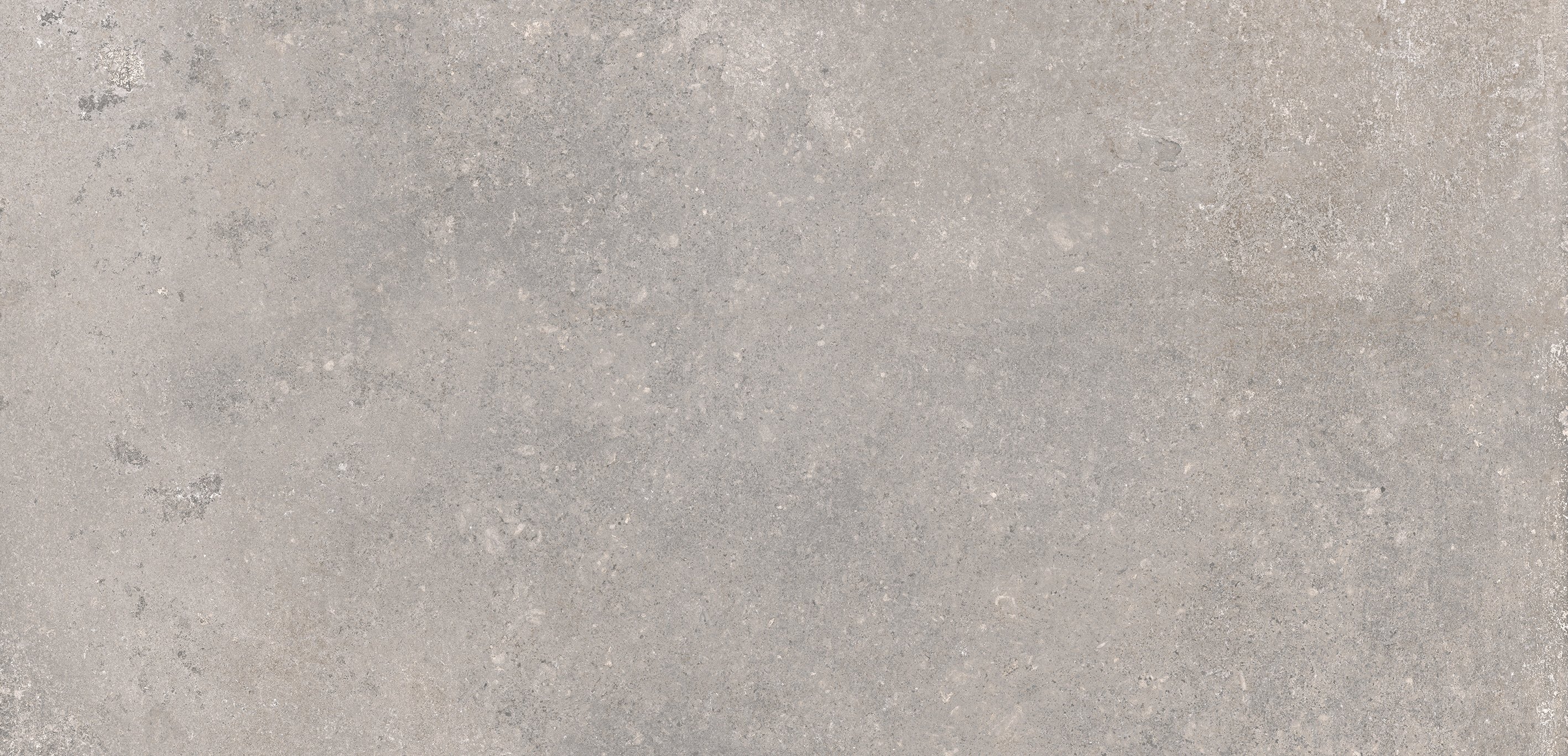 Earl Grey 60x120