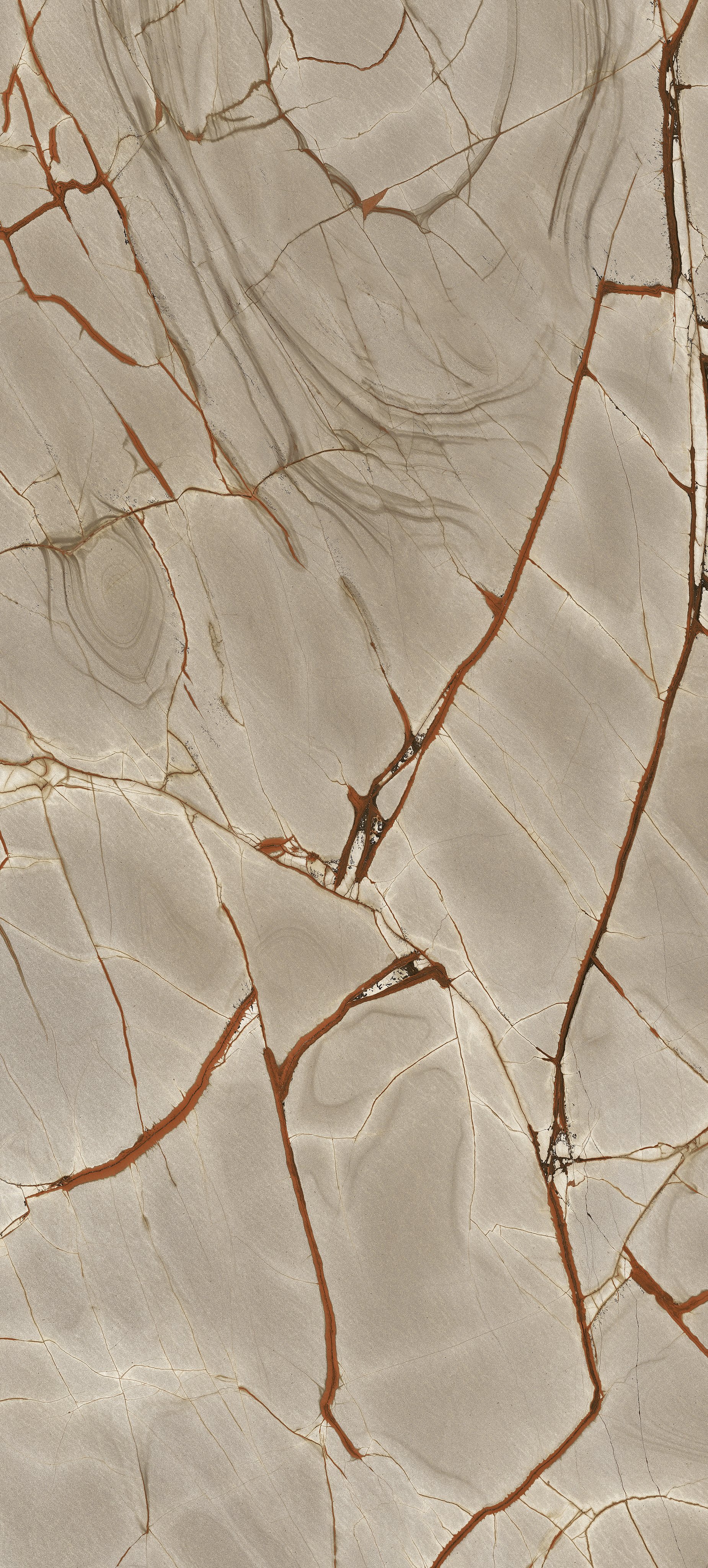 Rainforest 120x280