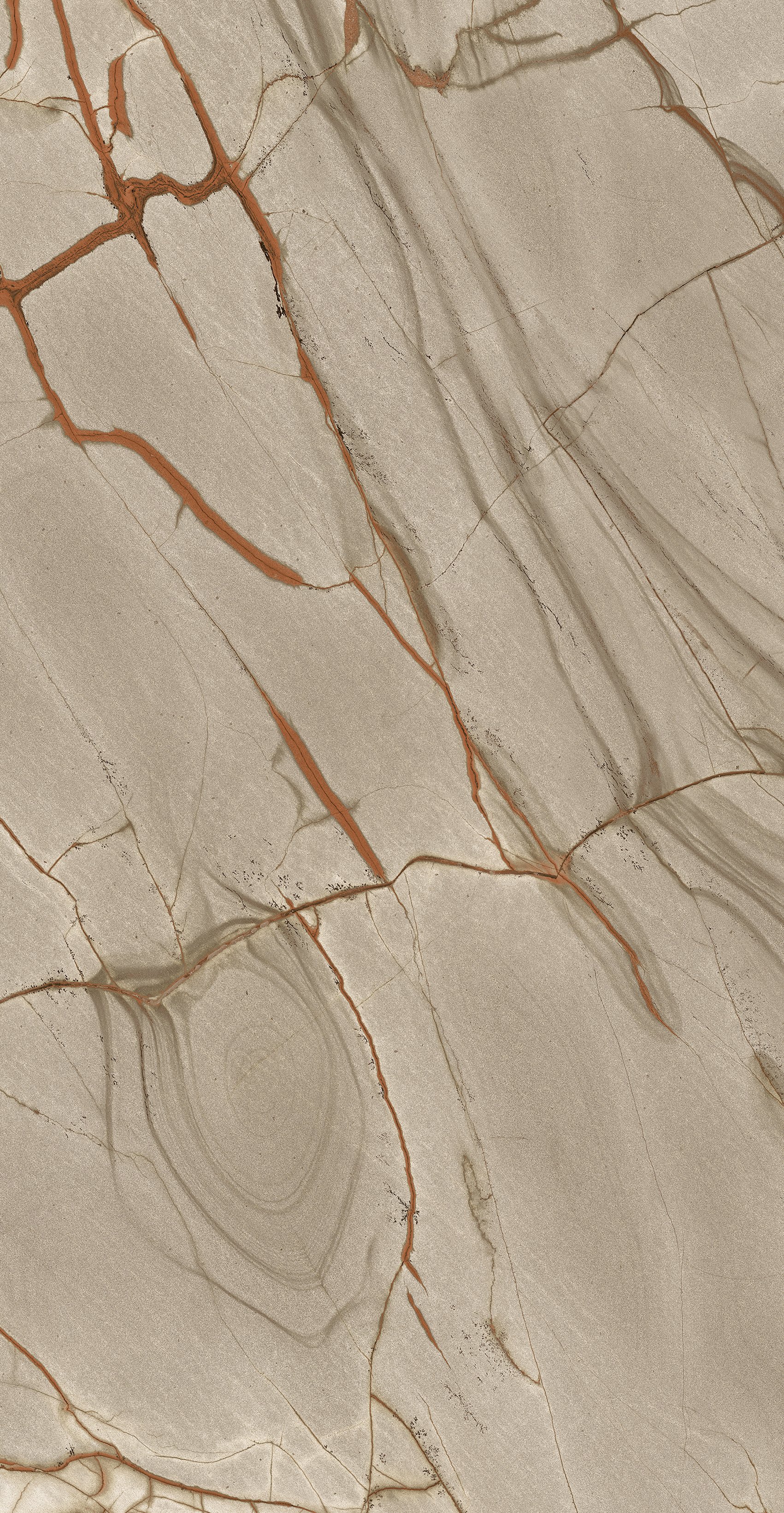 Rainforest 60x120