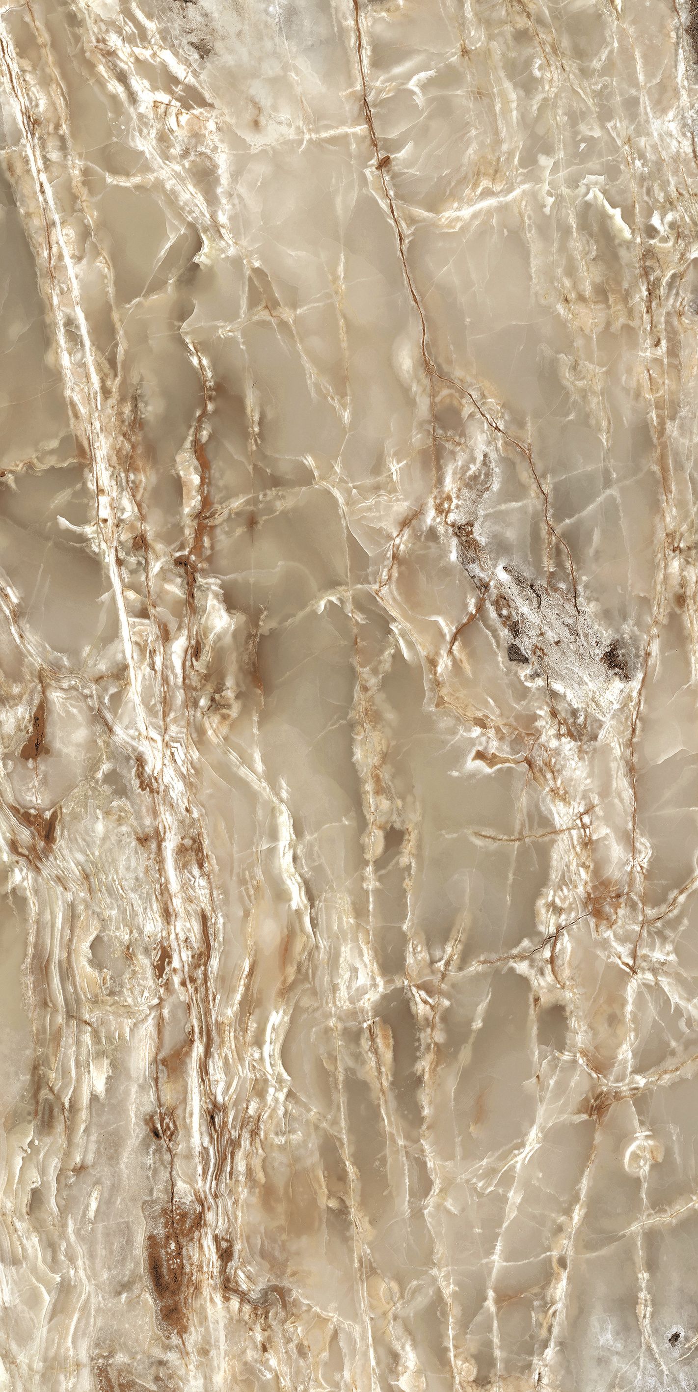 Golden Blend 60x120