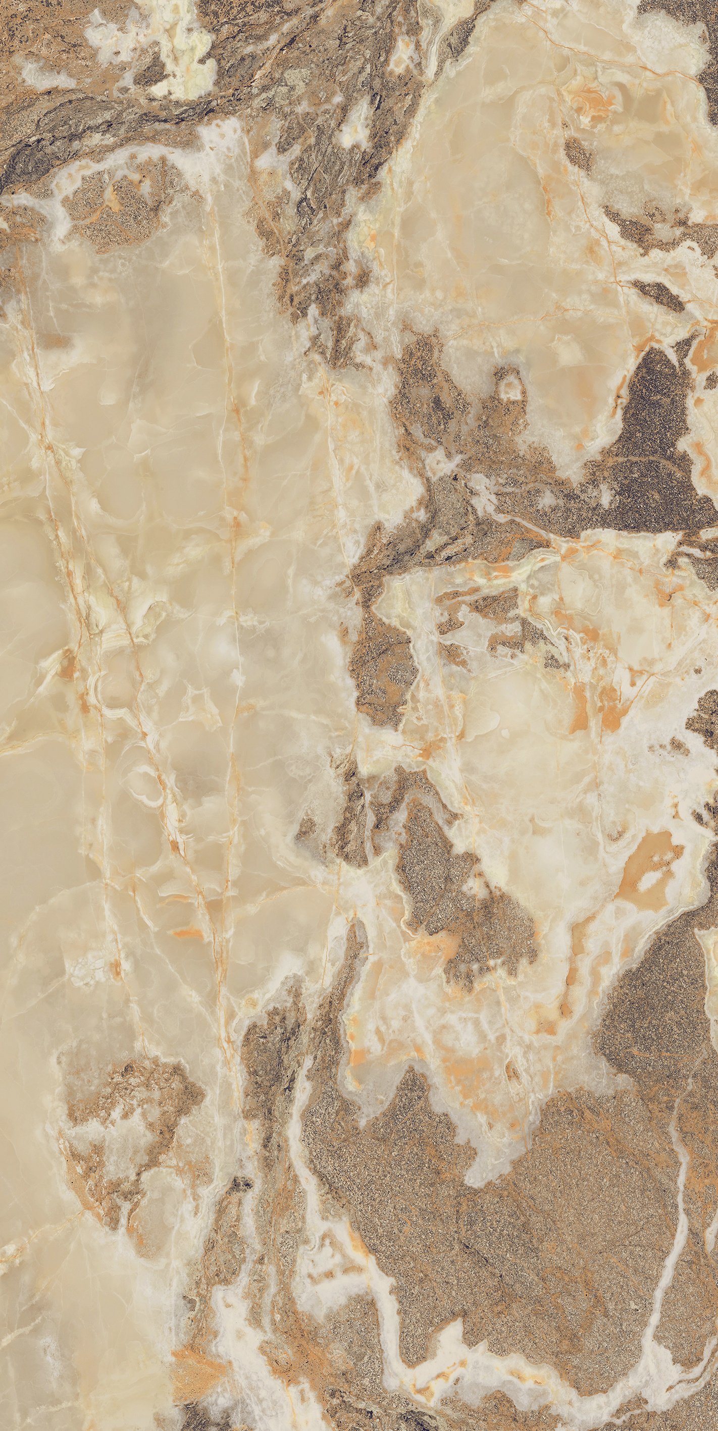 Golden Blend 60x120