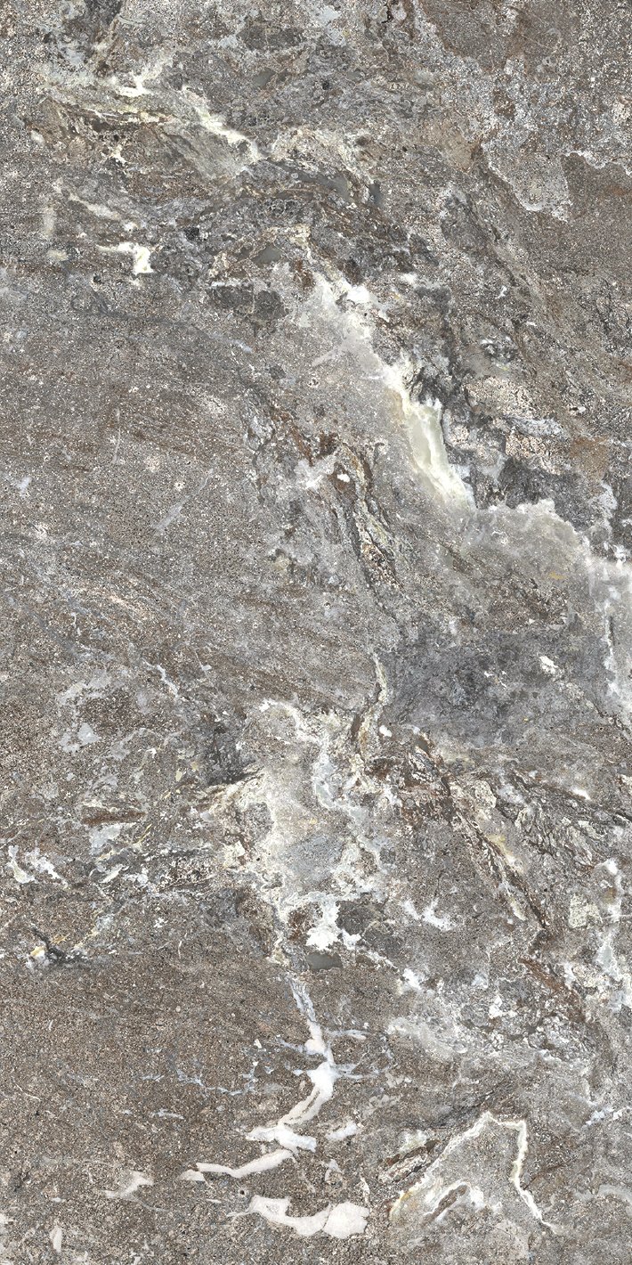 Silver Porphyry 60x120