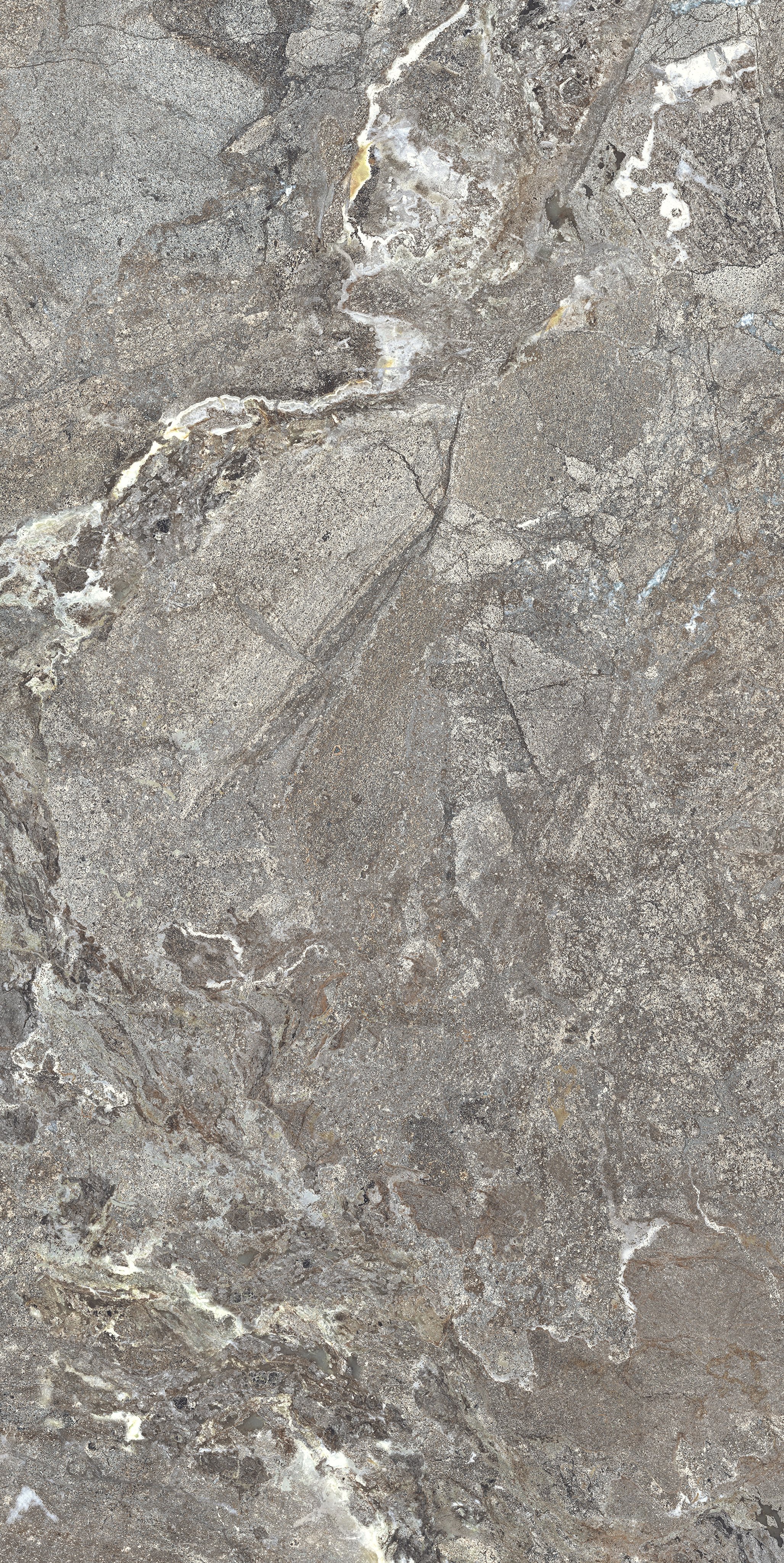 Silver Porphyry 60x120