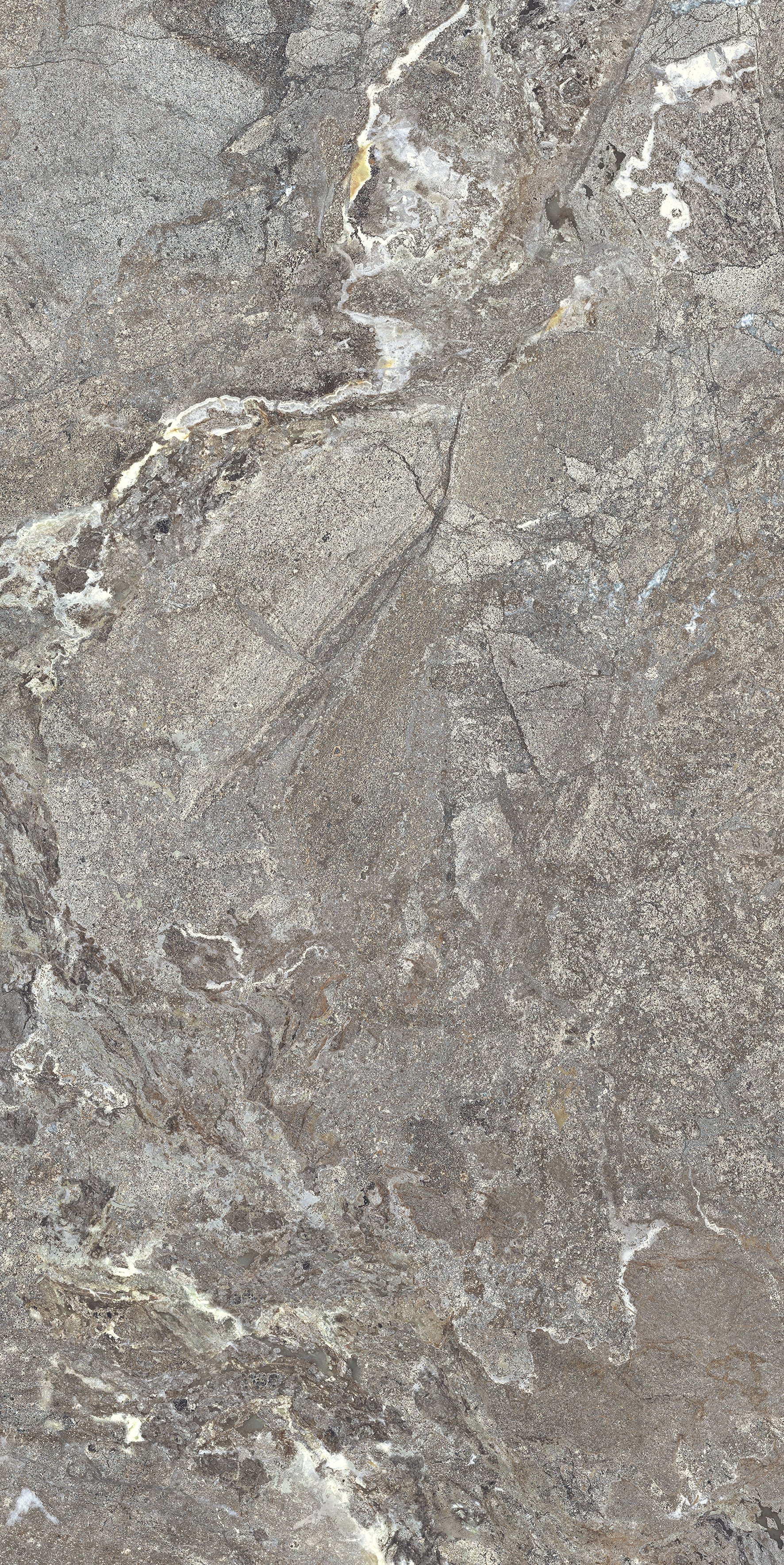 Silver Porphyry 60x120