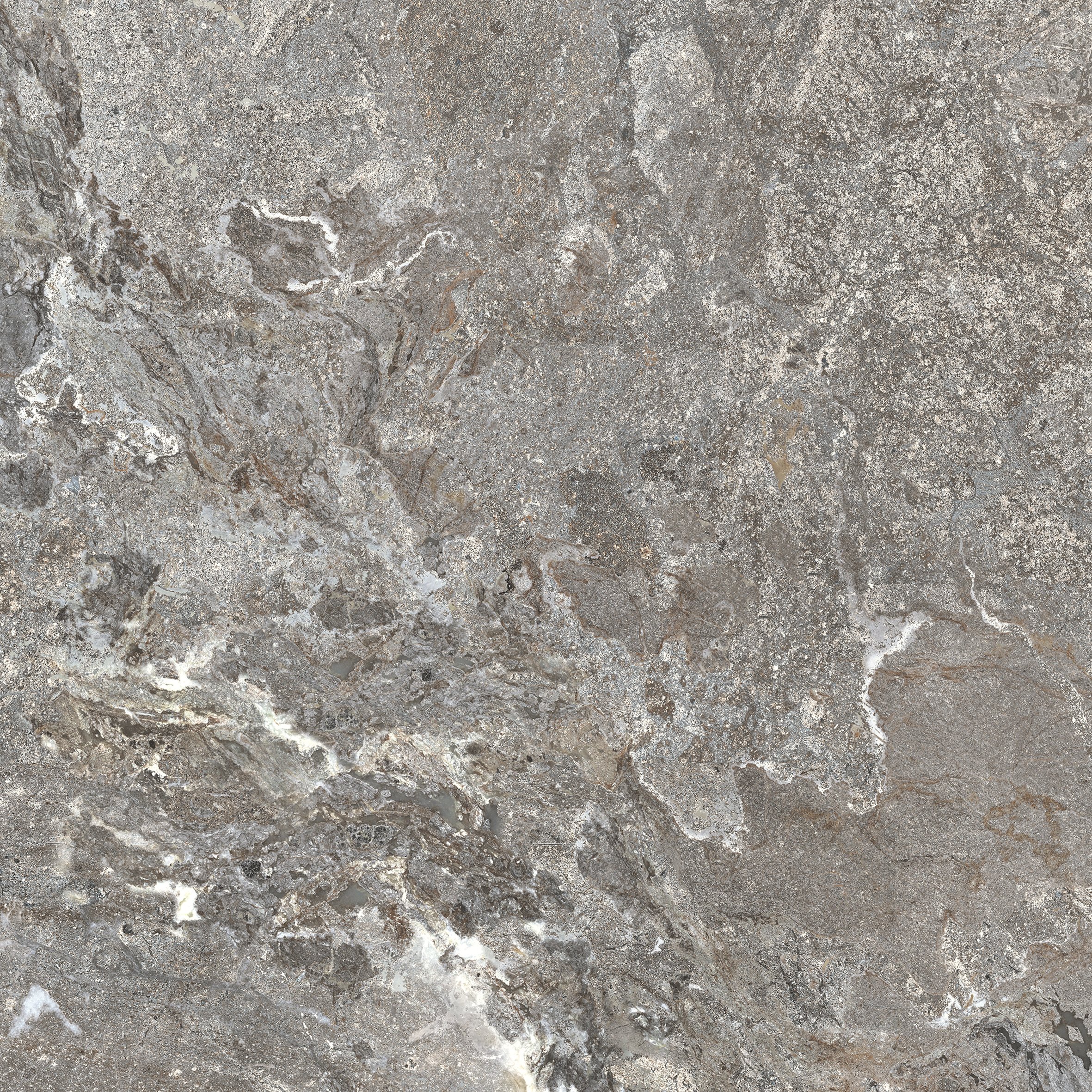 Silver Porphyry 60x60