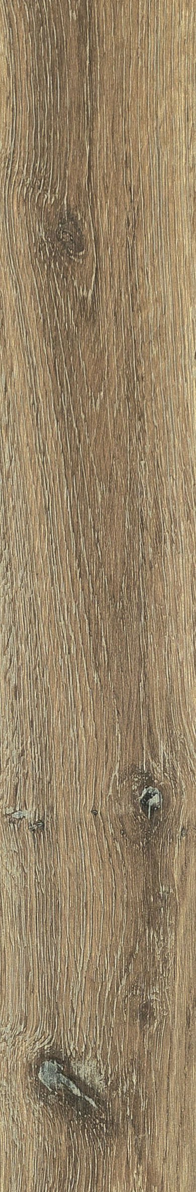 Noisette 20x120