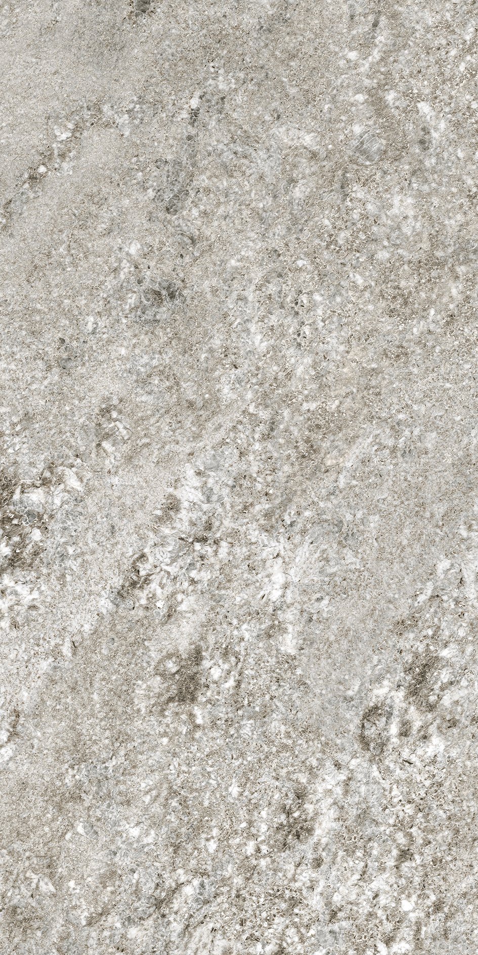 Plimagray/02 60x120
