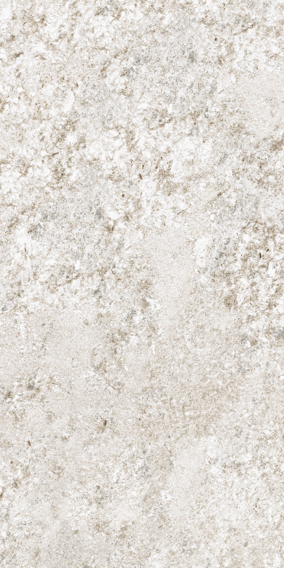 Plimawhite/02 60x120