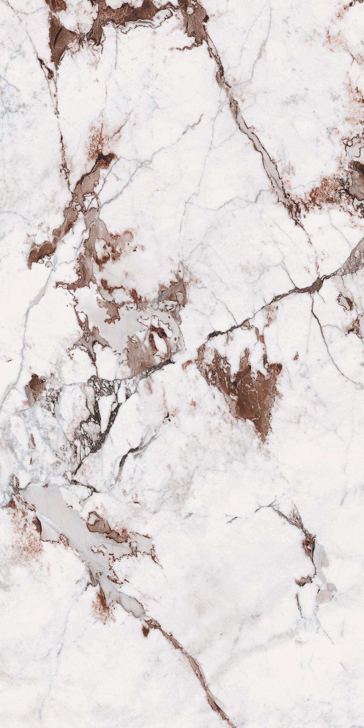 Breccia 120x240