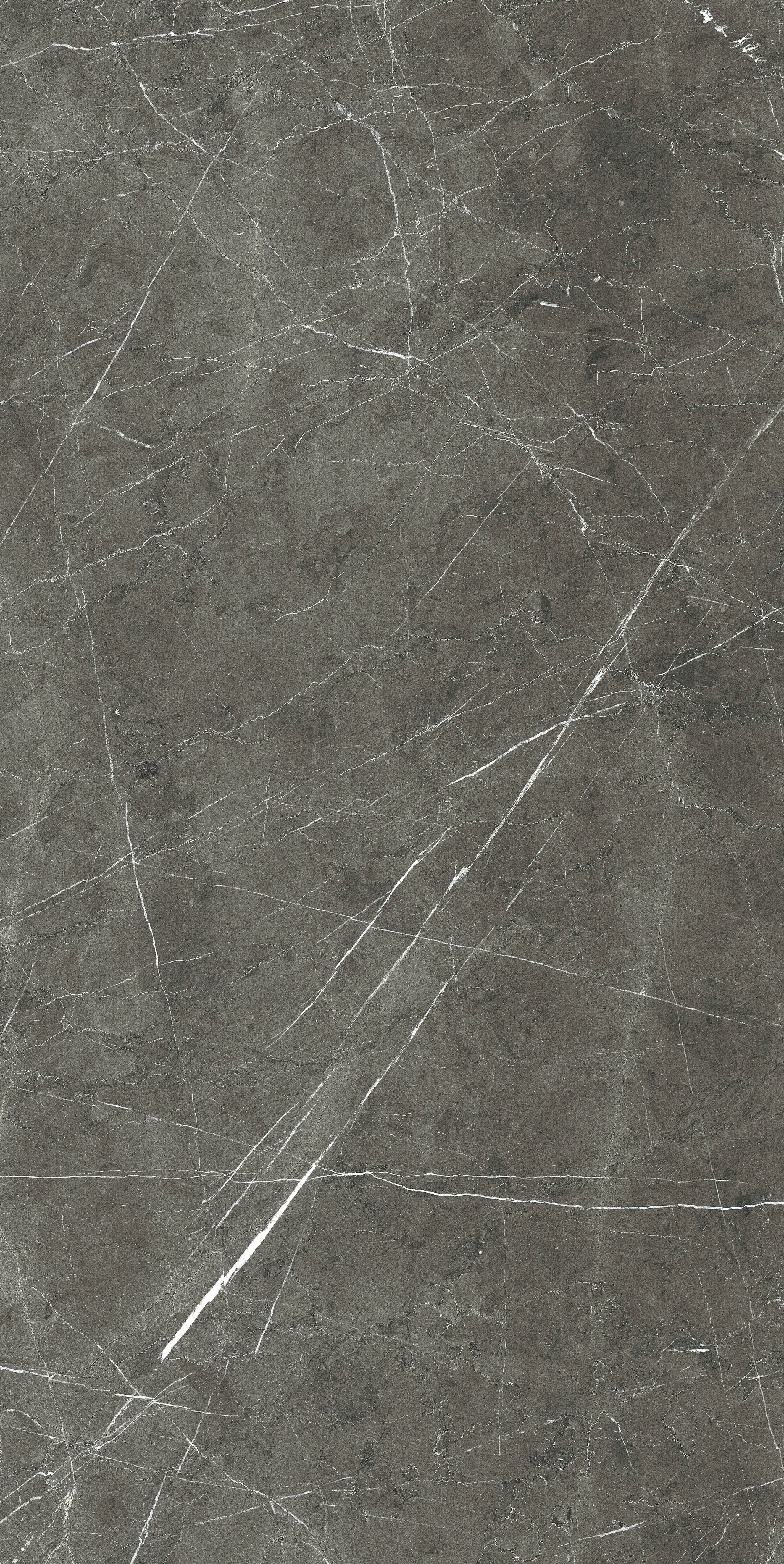 Charming Amber 60x120