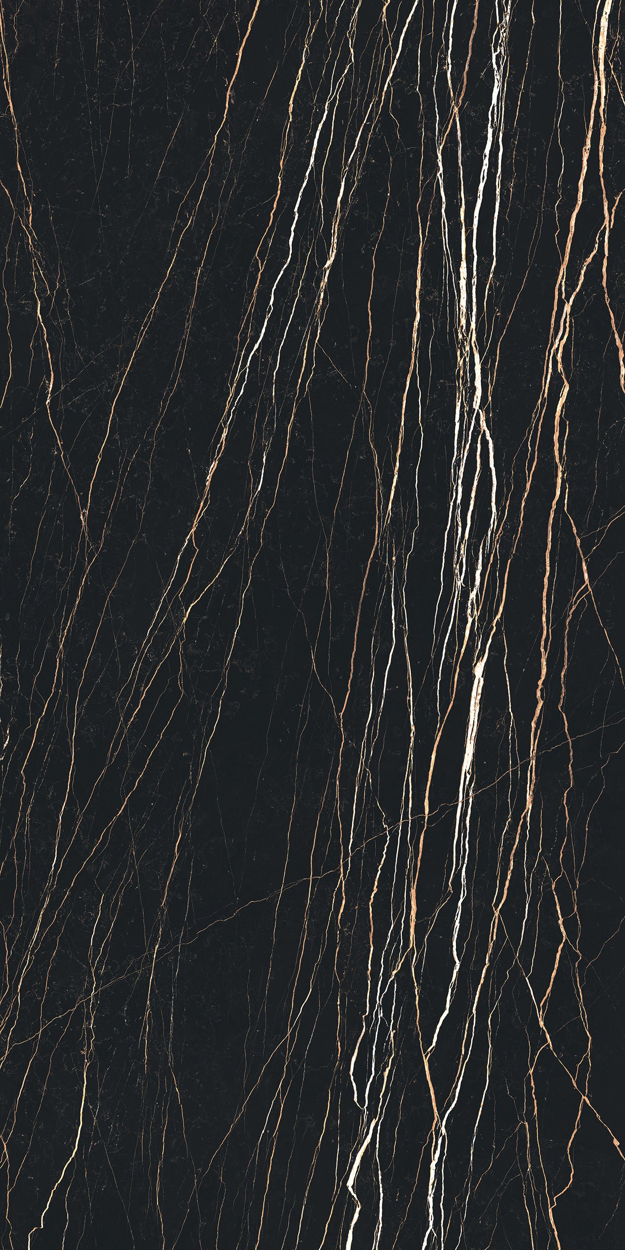 Thunder Night 120x240
