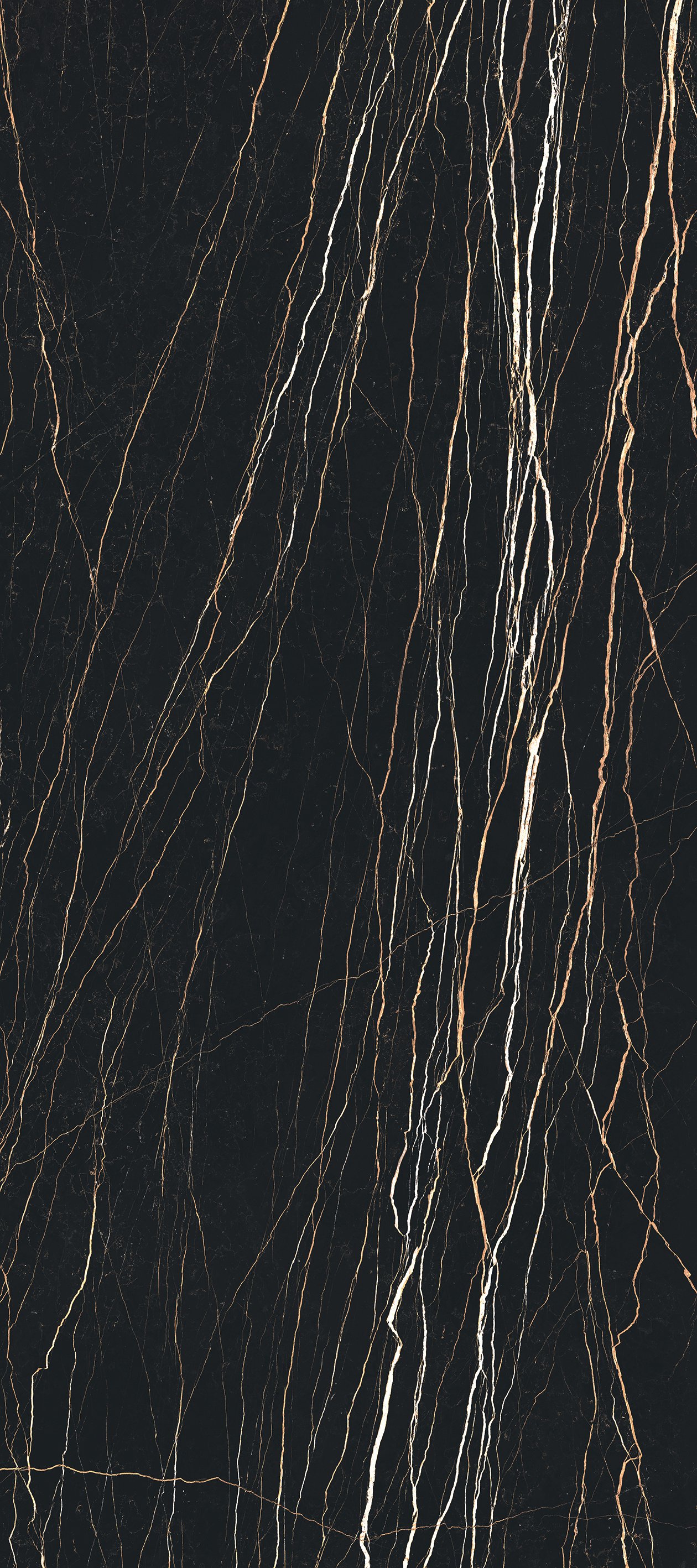 Thunder Night 120x280