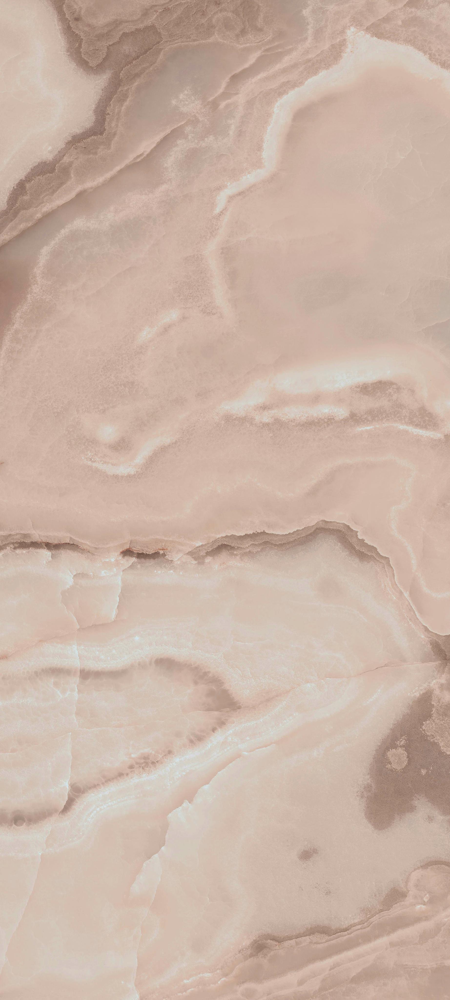 Rêve Rose 80x180