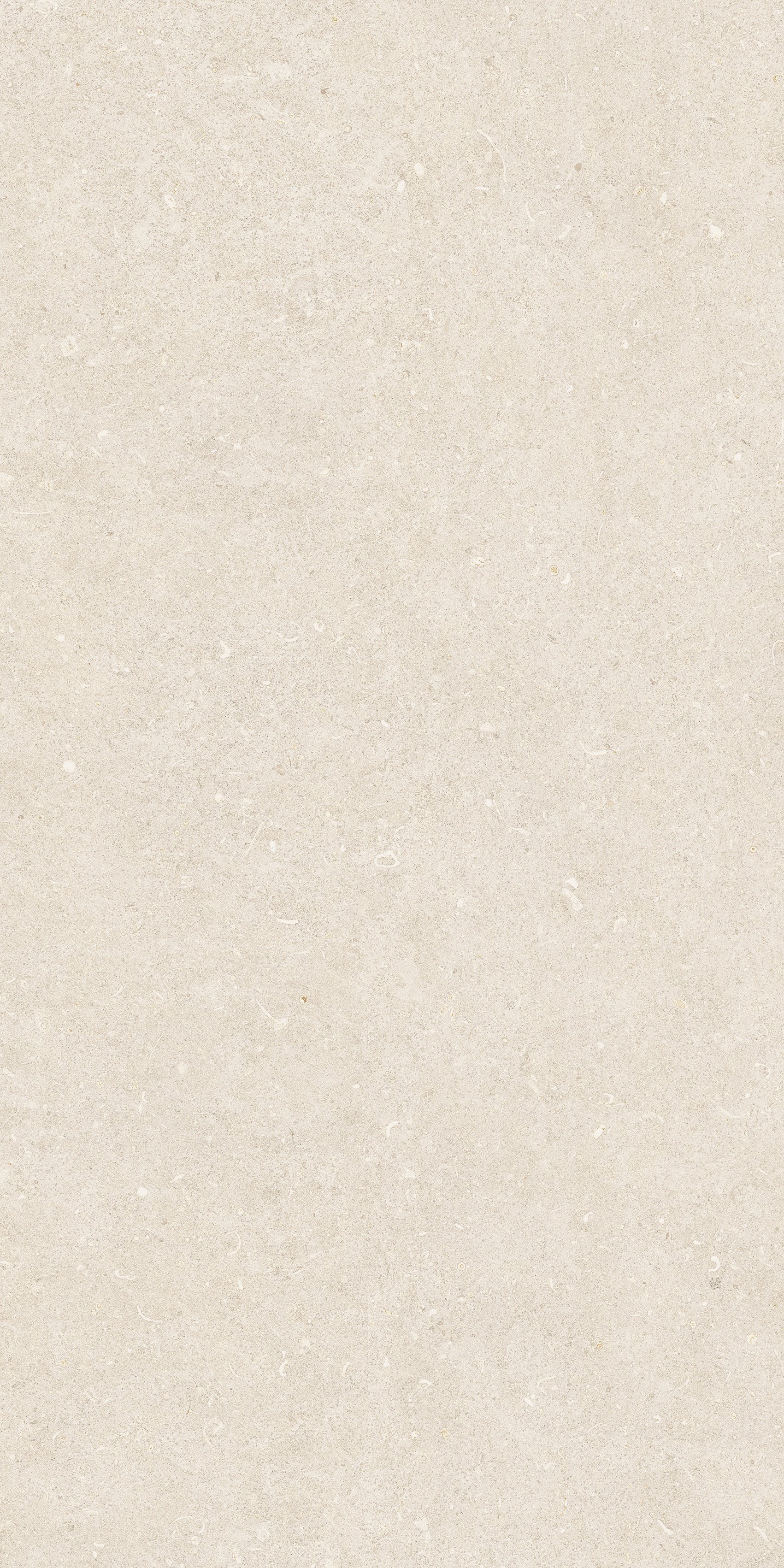 Arena Bianco Antico 60x120
