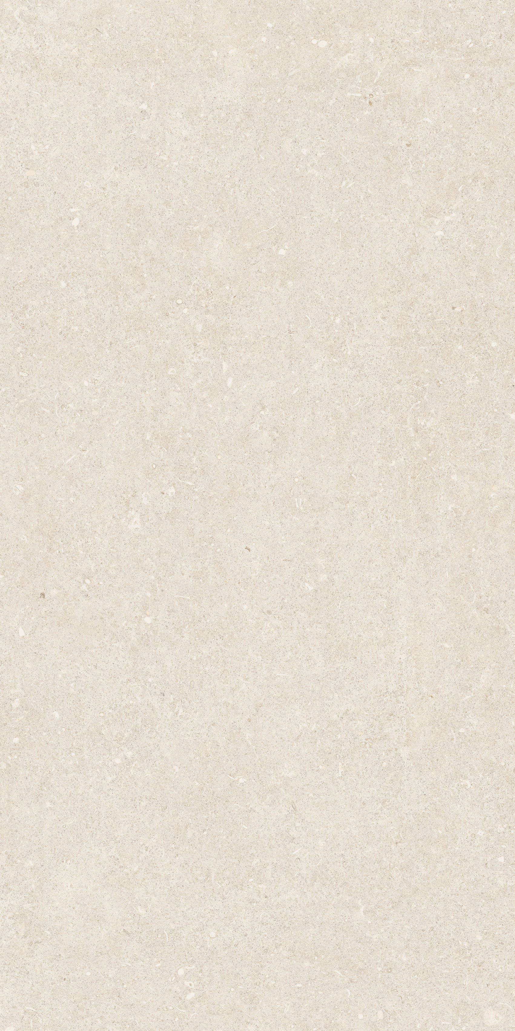 Arena Bianco Antico 60x120