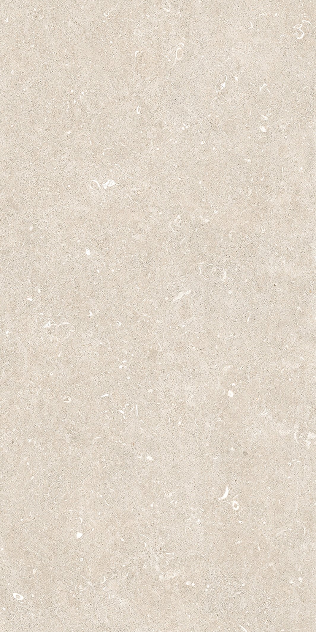 Arena Bianco Antico 60x120