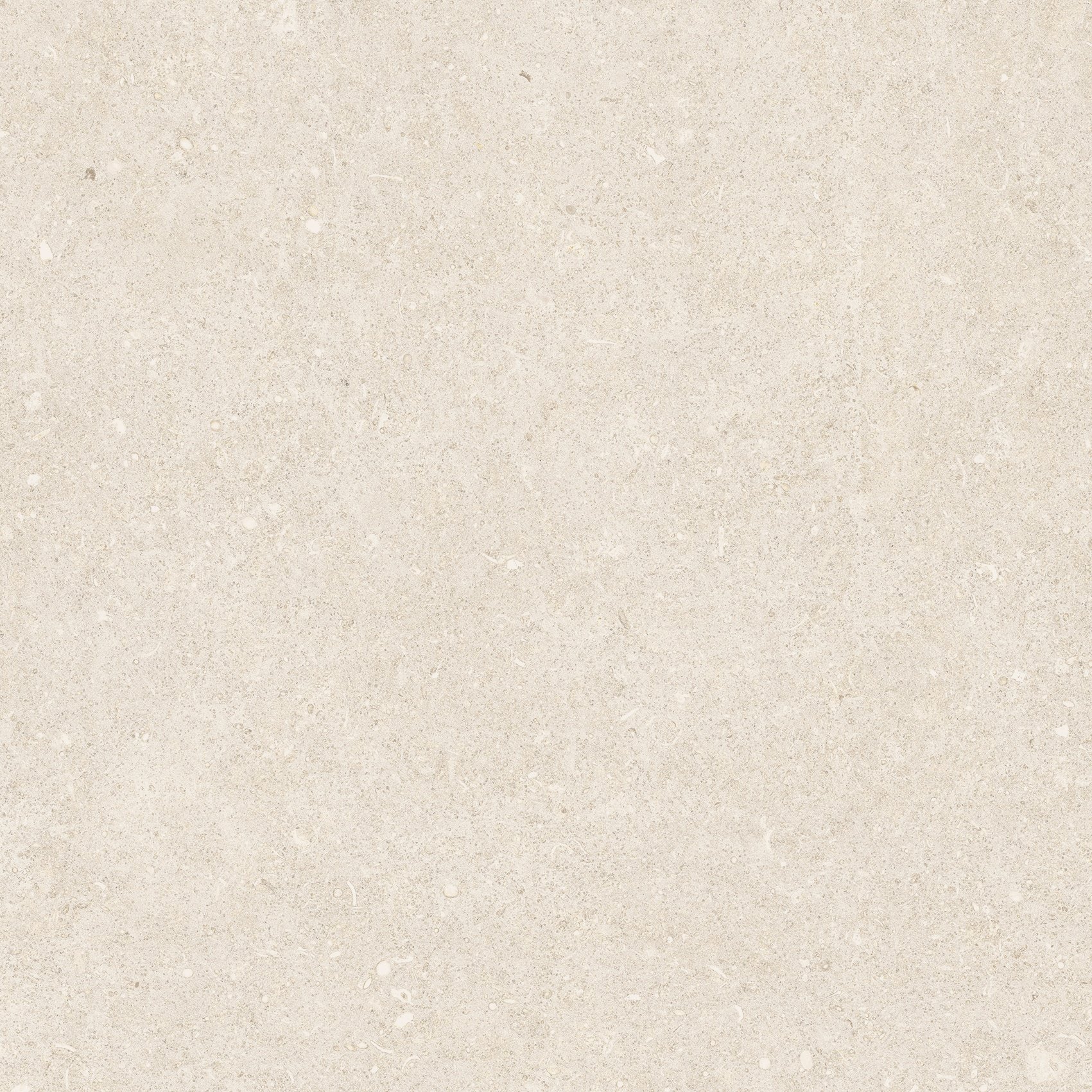 Arena Bianco Antico 60x60