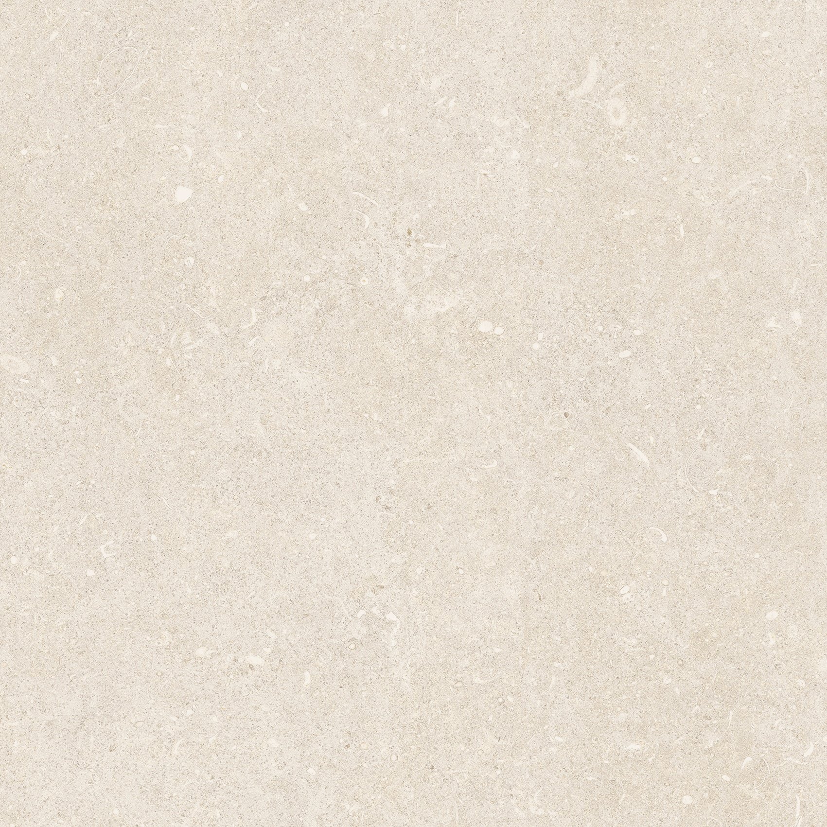 Arena Bianco Antico 60x60