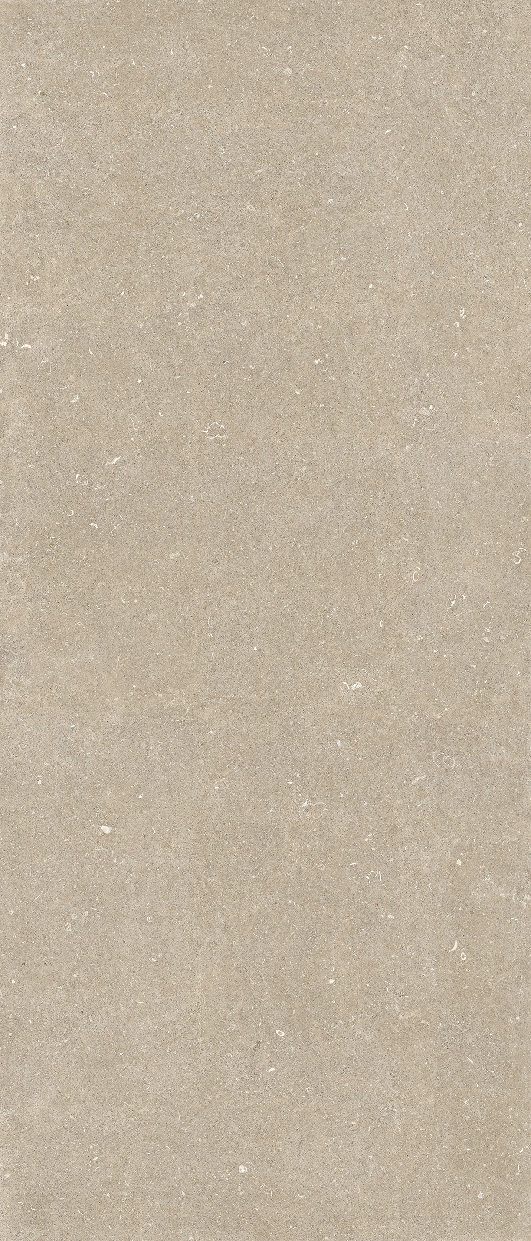 Arena Conchiglia 120x120