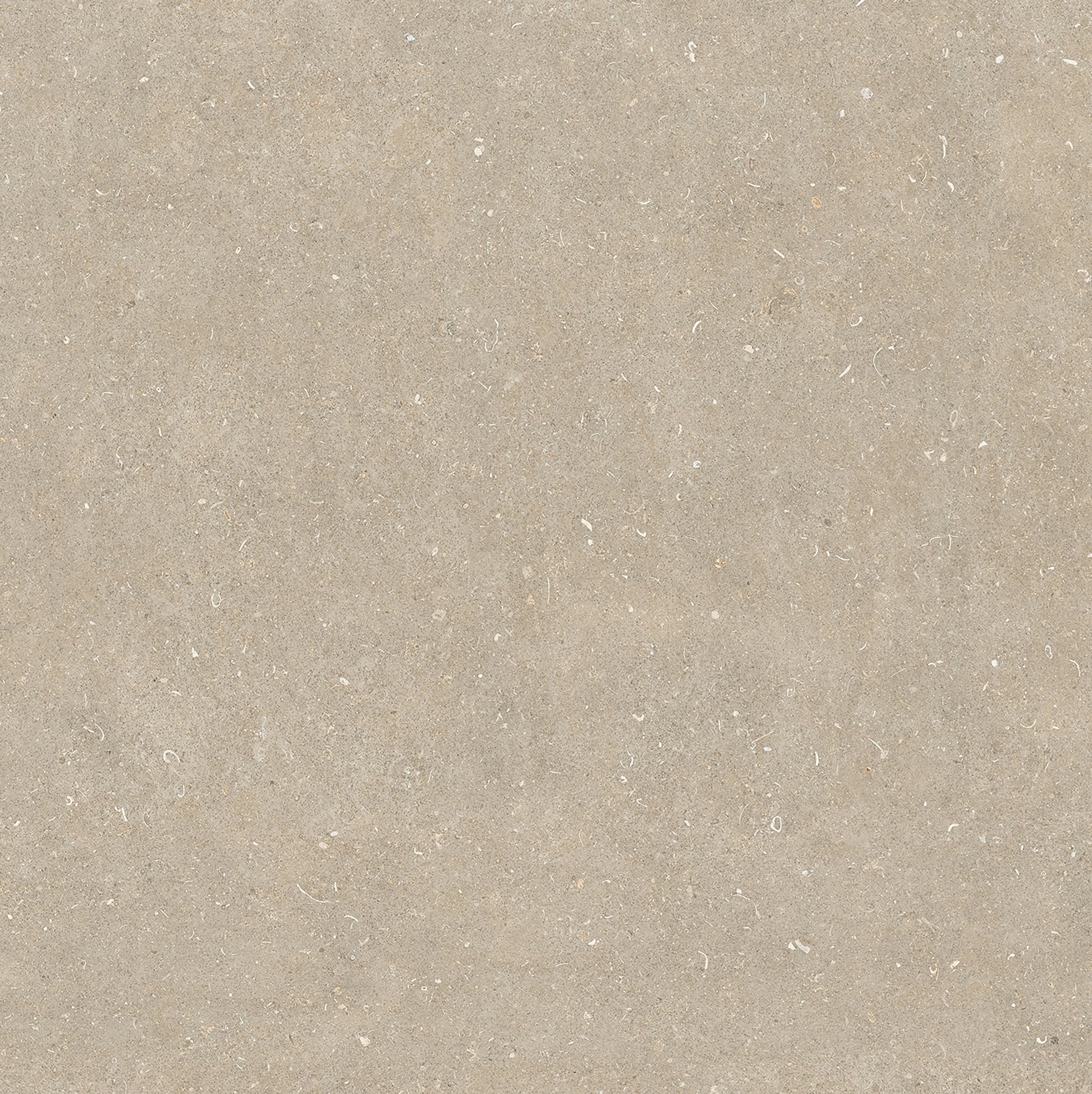Arena Conchiglia 120x120